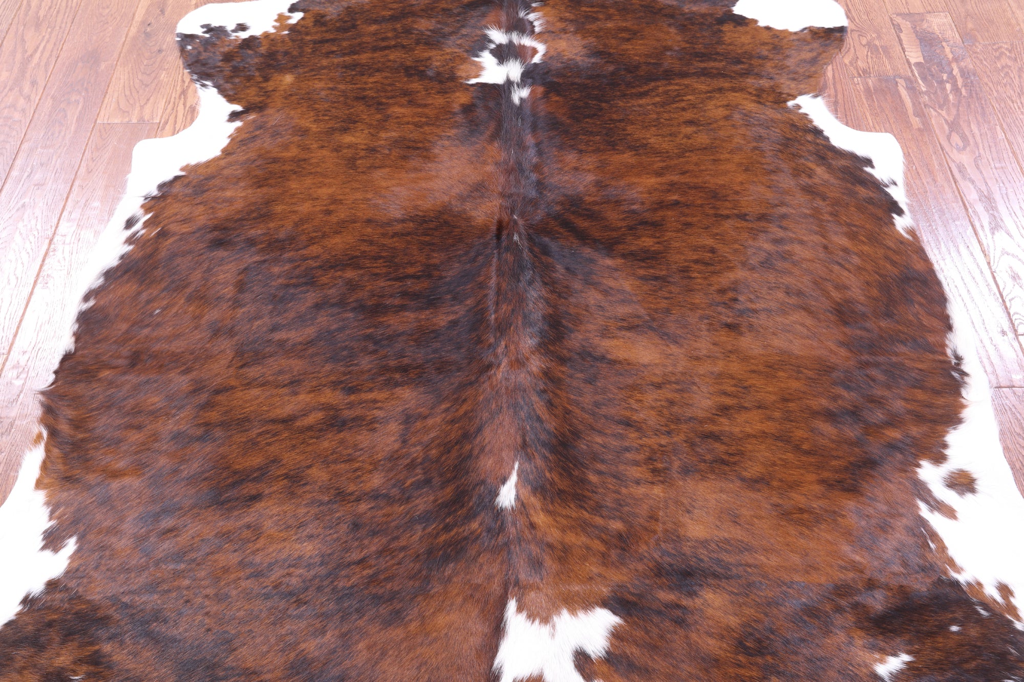 Natural Hair-On Cowhide Rug - 6' 7" X 6' 2" - Golden Nile
