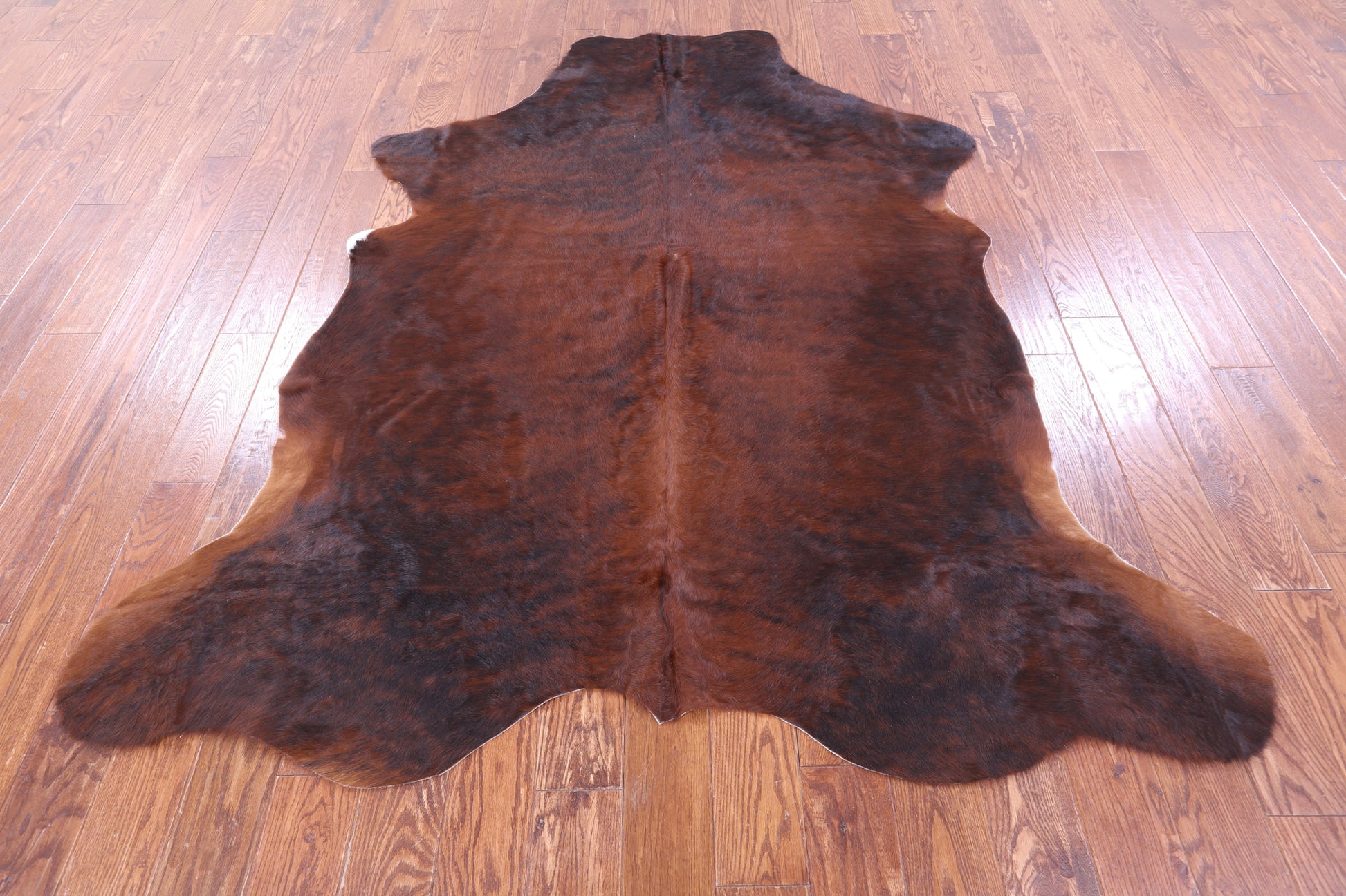 Natural Hair-On Cowhide Rug - 7' 0" X 6' 3" - Golden Nile