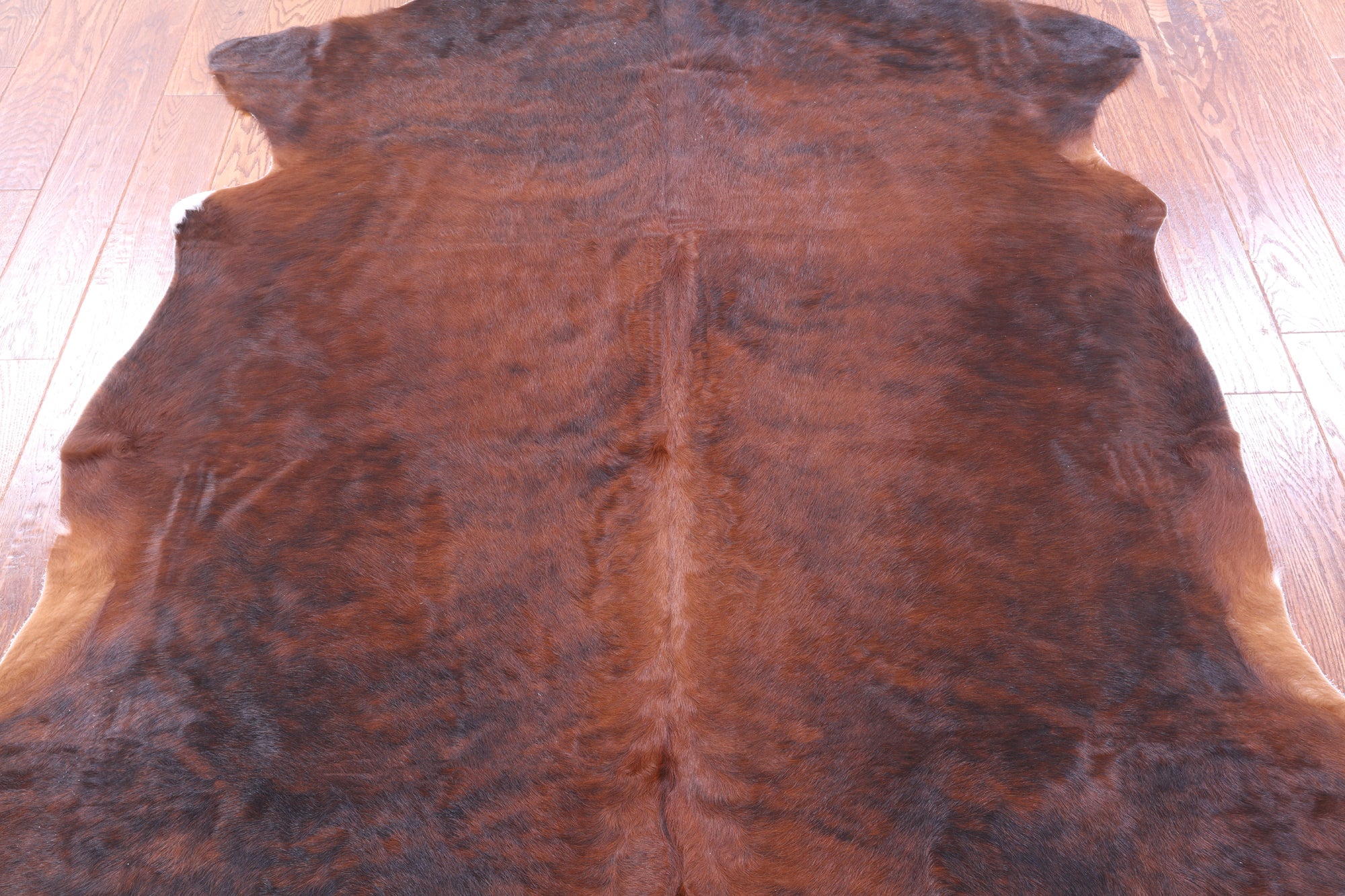 Natural Hair-On Cowhide Rug - 7' 0" X 6' 3" - Golden Nile