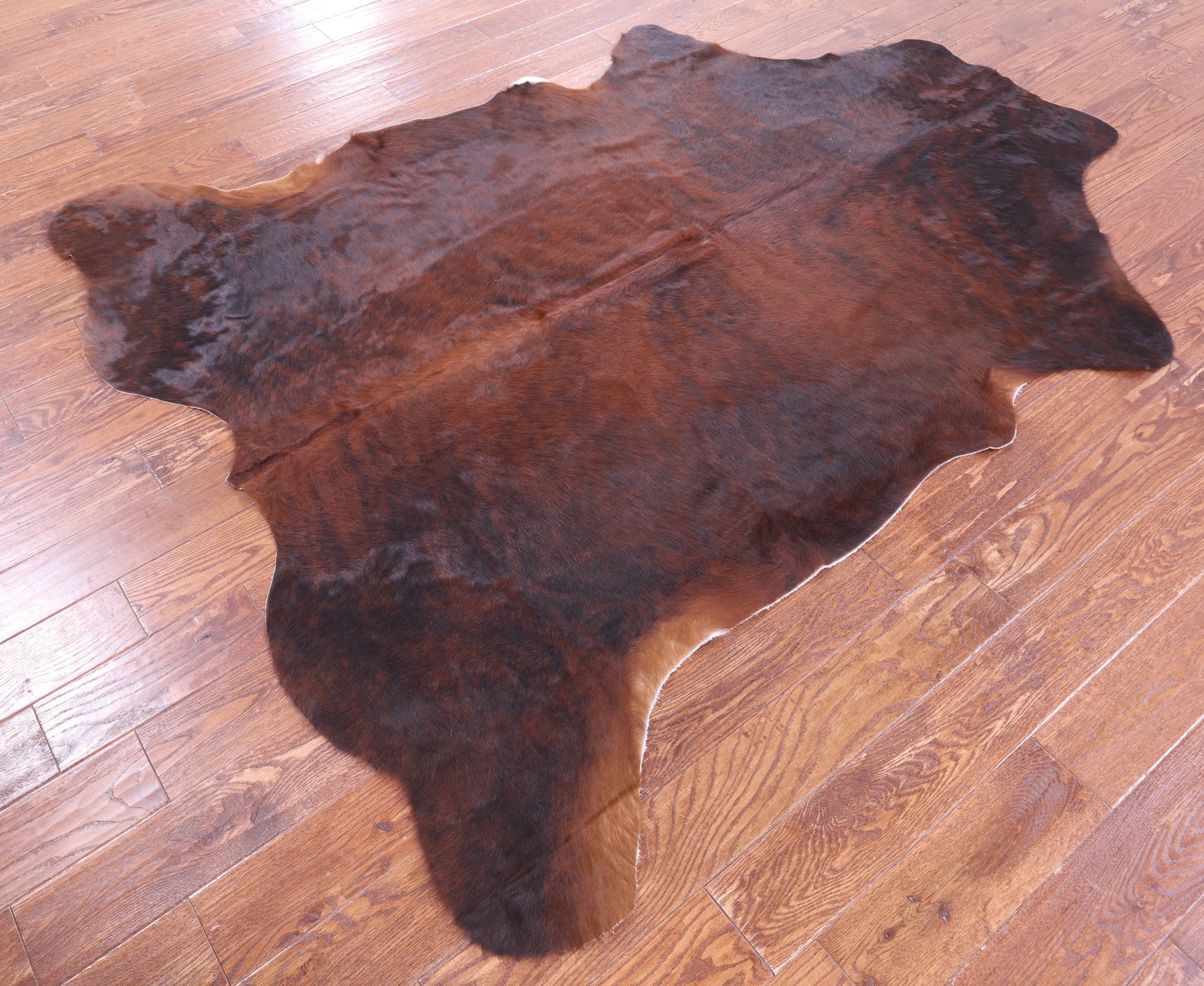 Natural Hair-On Cowhide Rug - 7' 0" X 6' 3" - Golden Nile