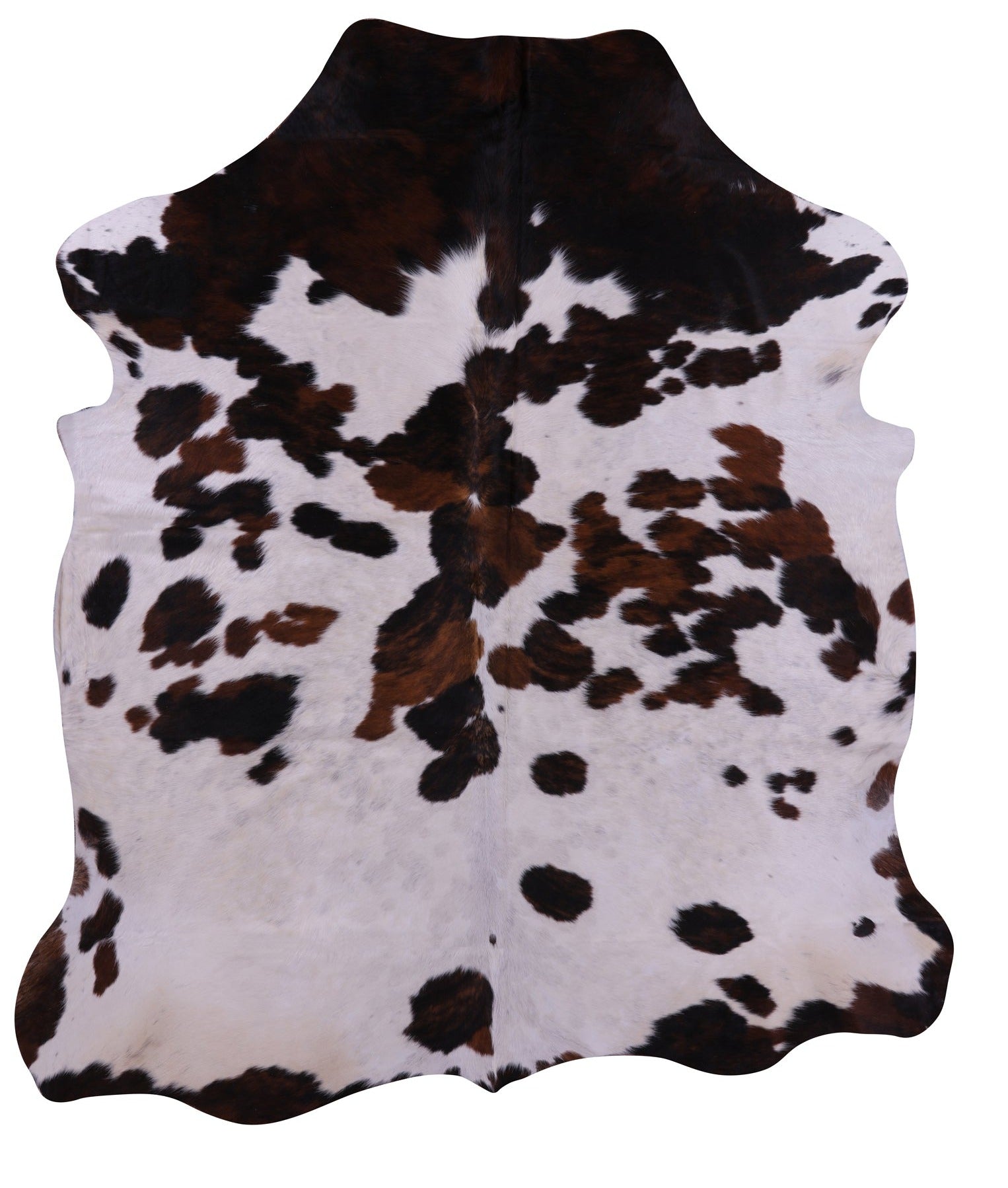 Natural Hair-On Cowhide Rug - 7' 2" X 6' 3" - Golden Nile