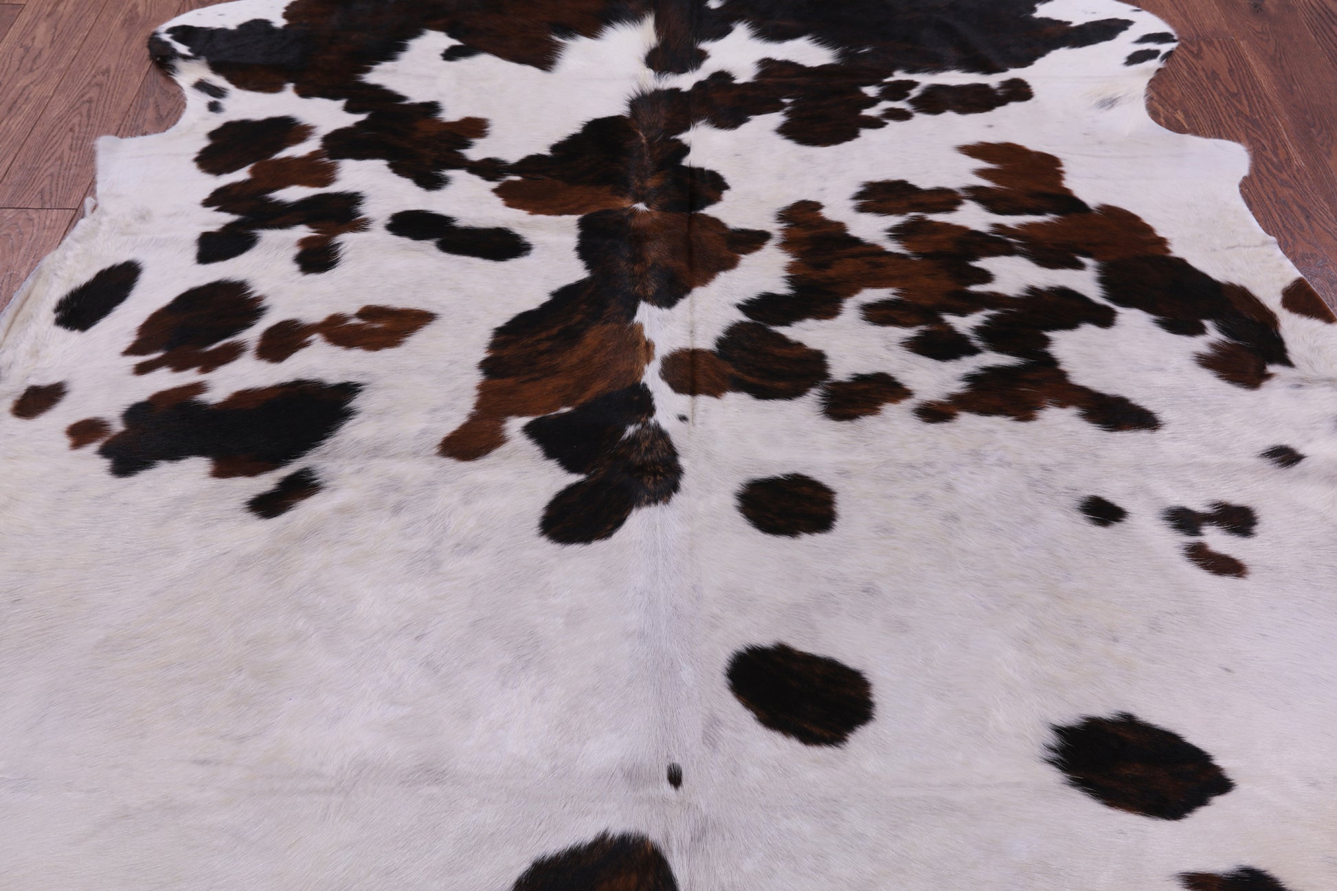 Natural Hair-On Cowhide Rug - 7' 2" X 6' 3" - Golden Nile