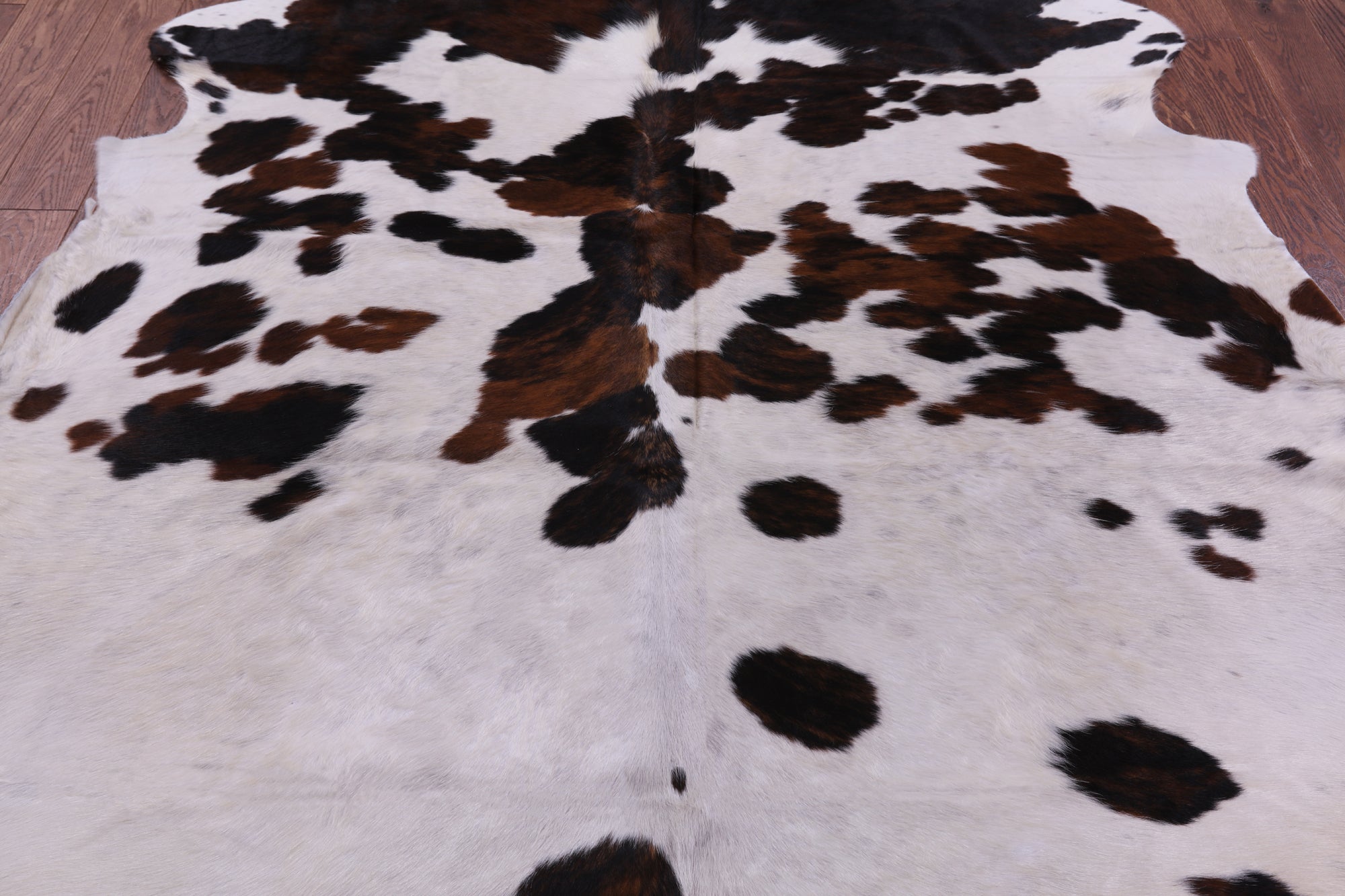 Natural Hair-On Cowhide Rug - 7' 2" X 6' 3" - Golden Nile