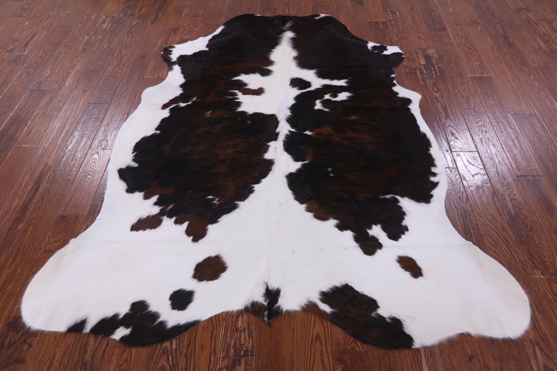 Natural Hair-On Cowhide Rug - 7' 5" X 6' 1" - Golden Nile