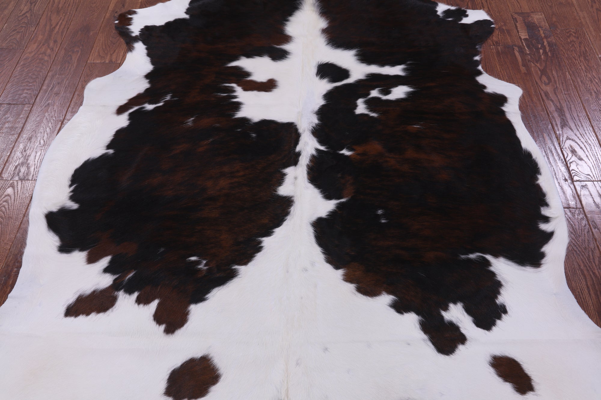 Natural Hair-On Cowhide Rug - 7' 5" X 6' 1" - Golden Nile
