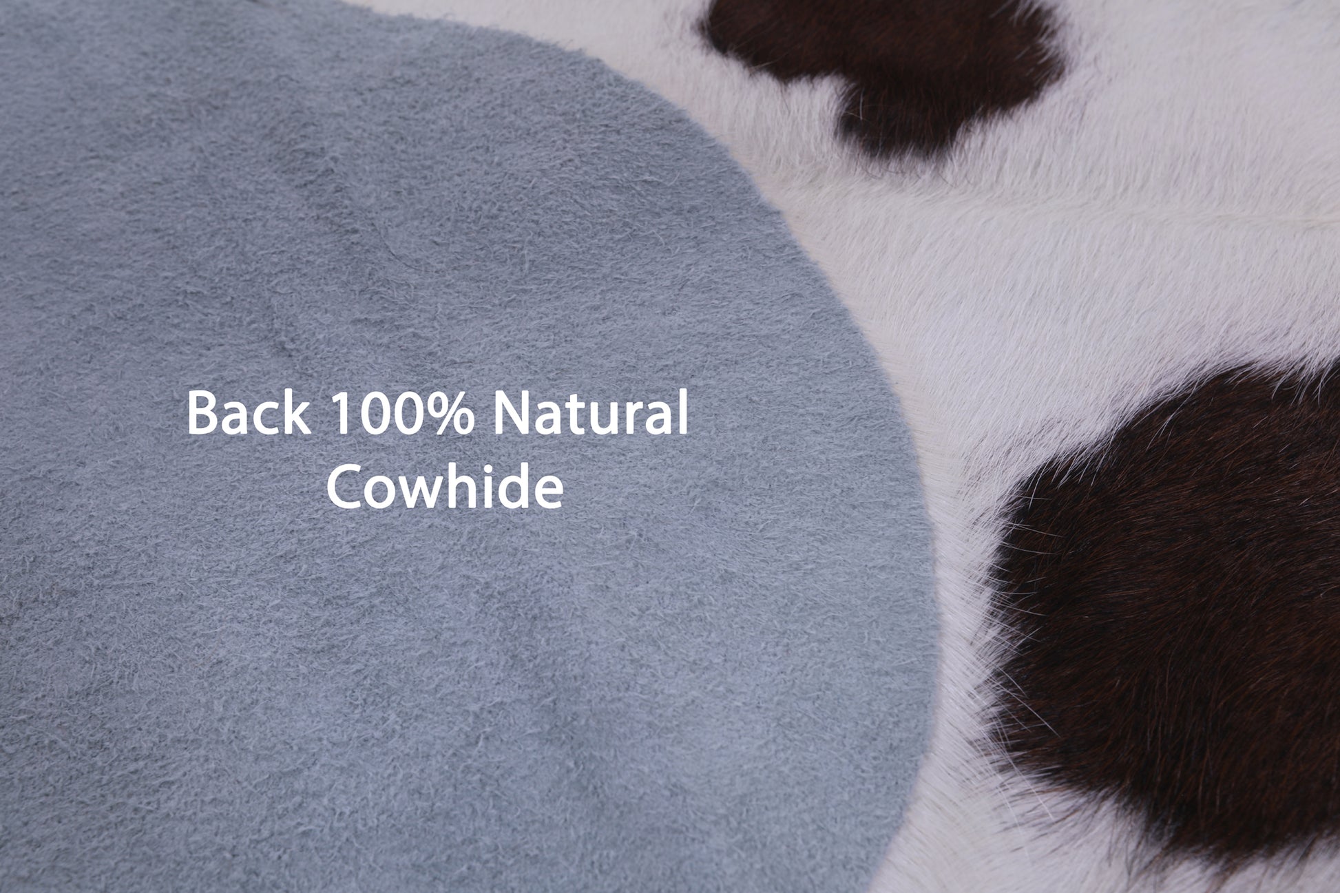 Natural Hair-On Cowhide Rug - 7' 5" X 6' 1" - Golden Nile