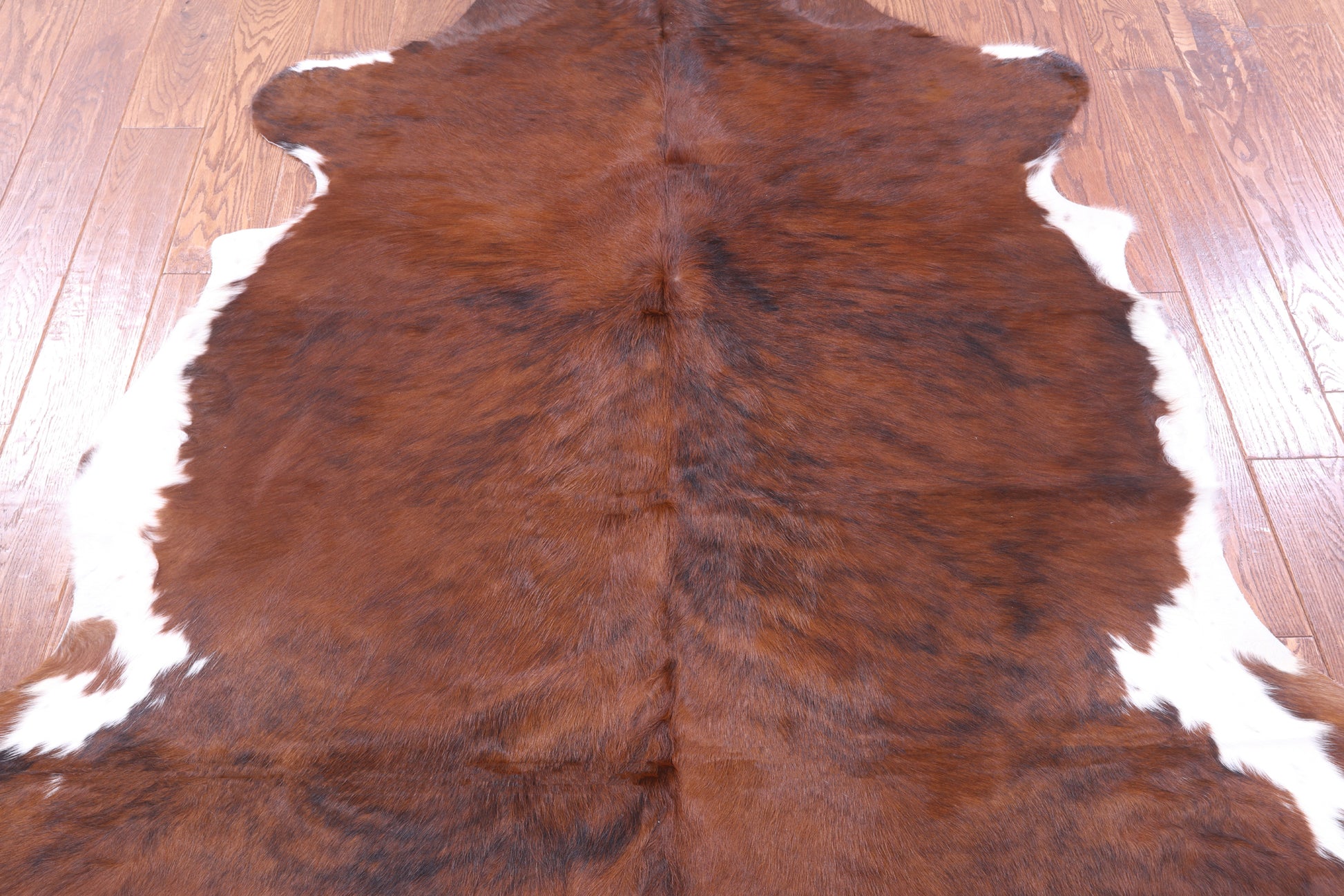 Natural Hair-On Cowhide Rug - 6' 1" X 5' 9" - Golden Nile