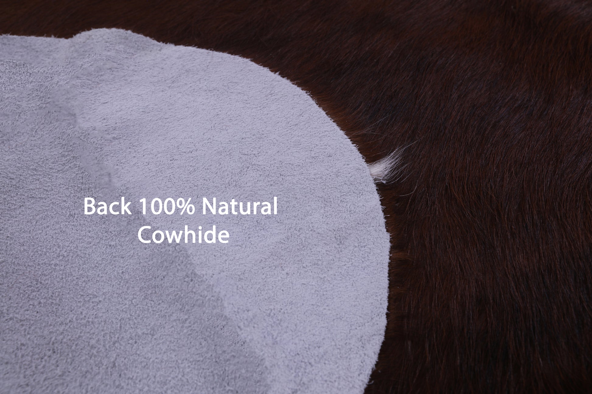 Natural Hair-On Cowhide Rug - 6' 1" X 5' 9" - Golden Nile