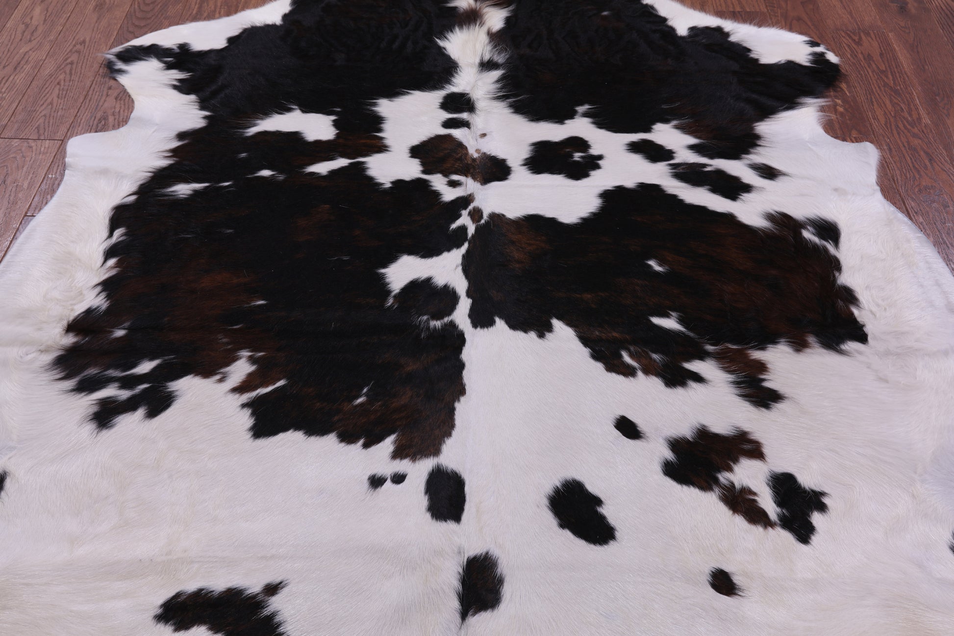 Natural Hair-On Cowhide Rug - 7' 0" X 6' 5" - Golden Nile