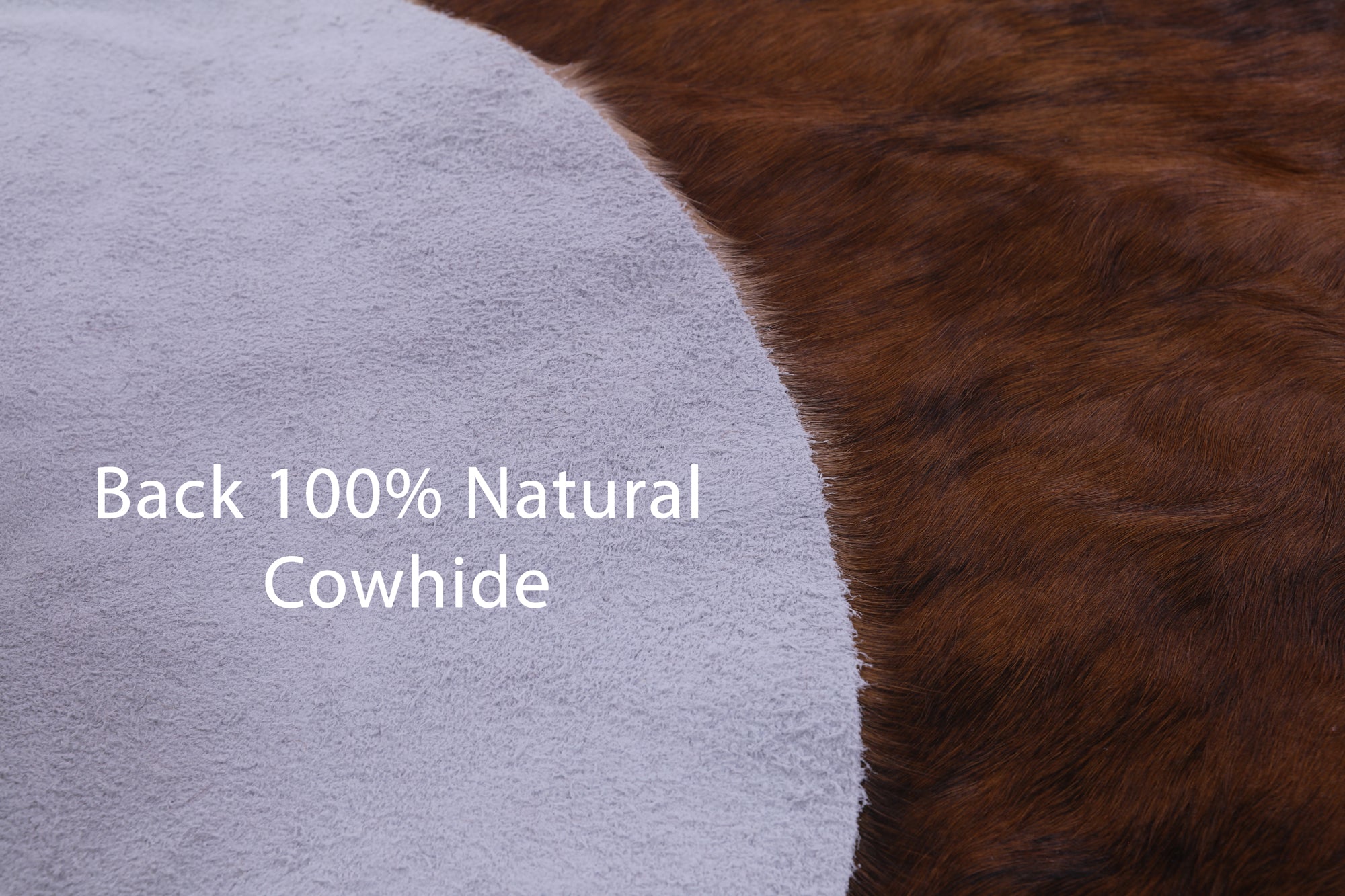 Natural Hair-On Cowhide Rug - 7' 4" X 6' 3" - Golden Nile