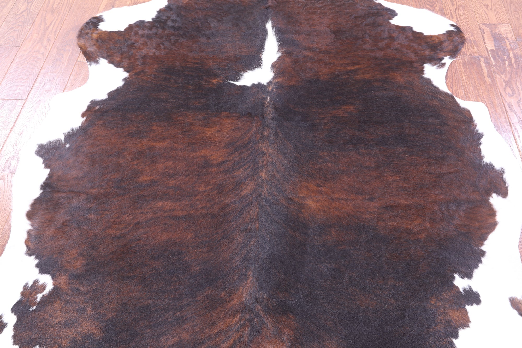 Natural Hair-On Cowhide Rug - 6' 9" X 6' 3" - Golden Nile