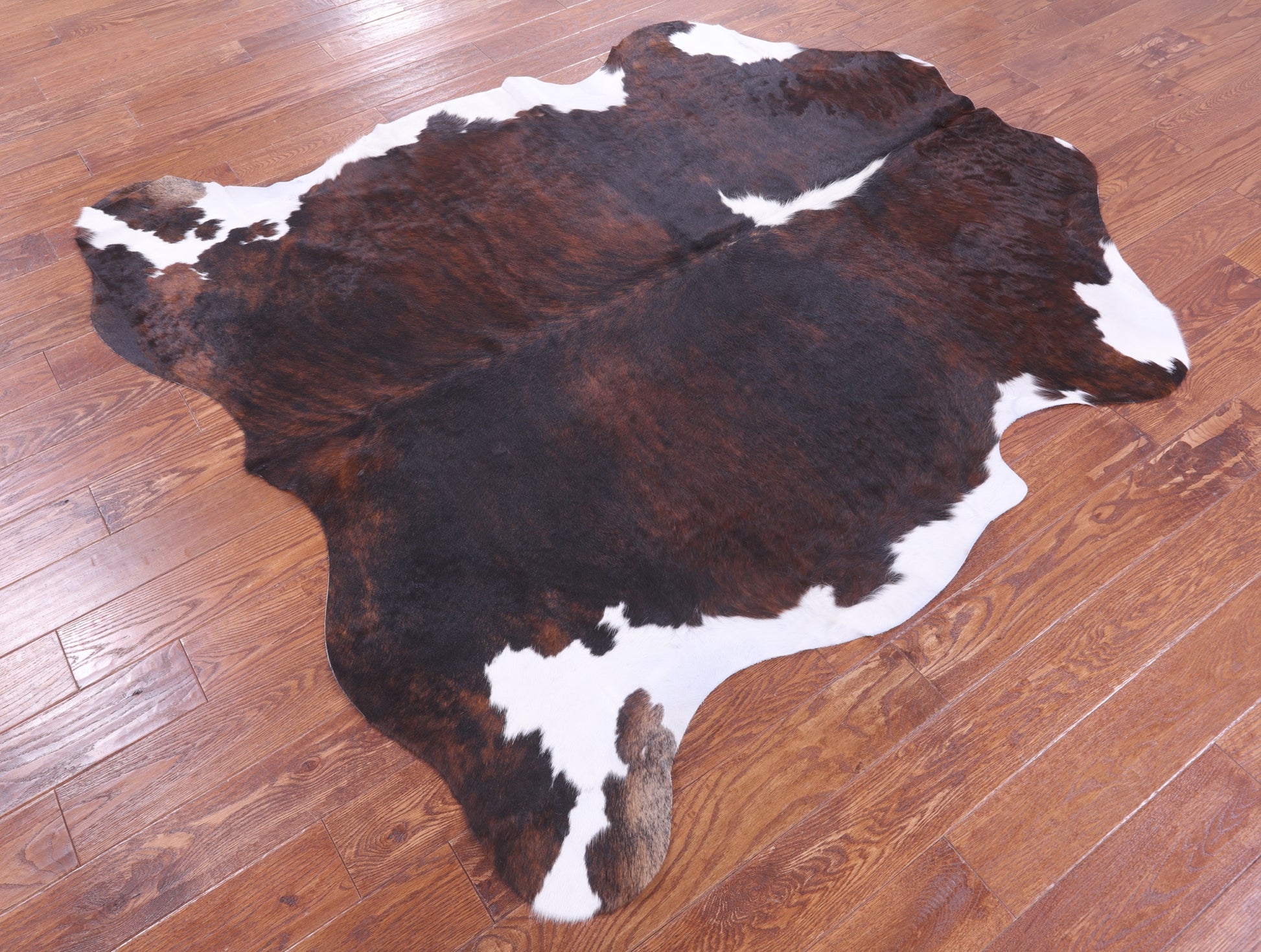 Natural Hair-On Cowhide Rug - 6' 9" X 6' 3" - Golden Nile