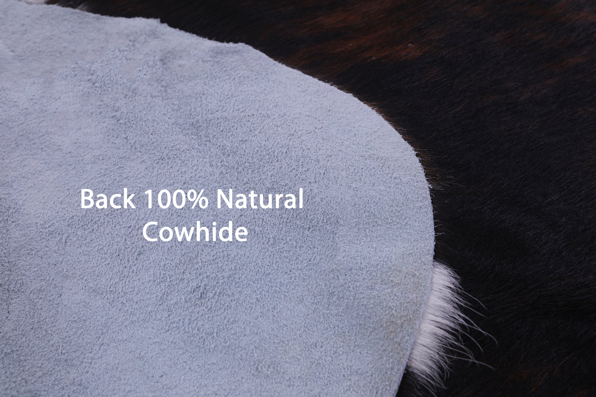 Natural Hair-On Cowhide Rug - 6' 7" X 6' 4" - Golden Nile