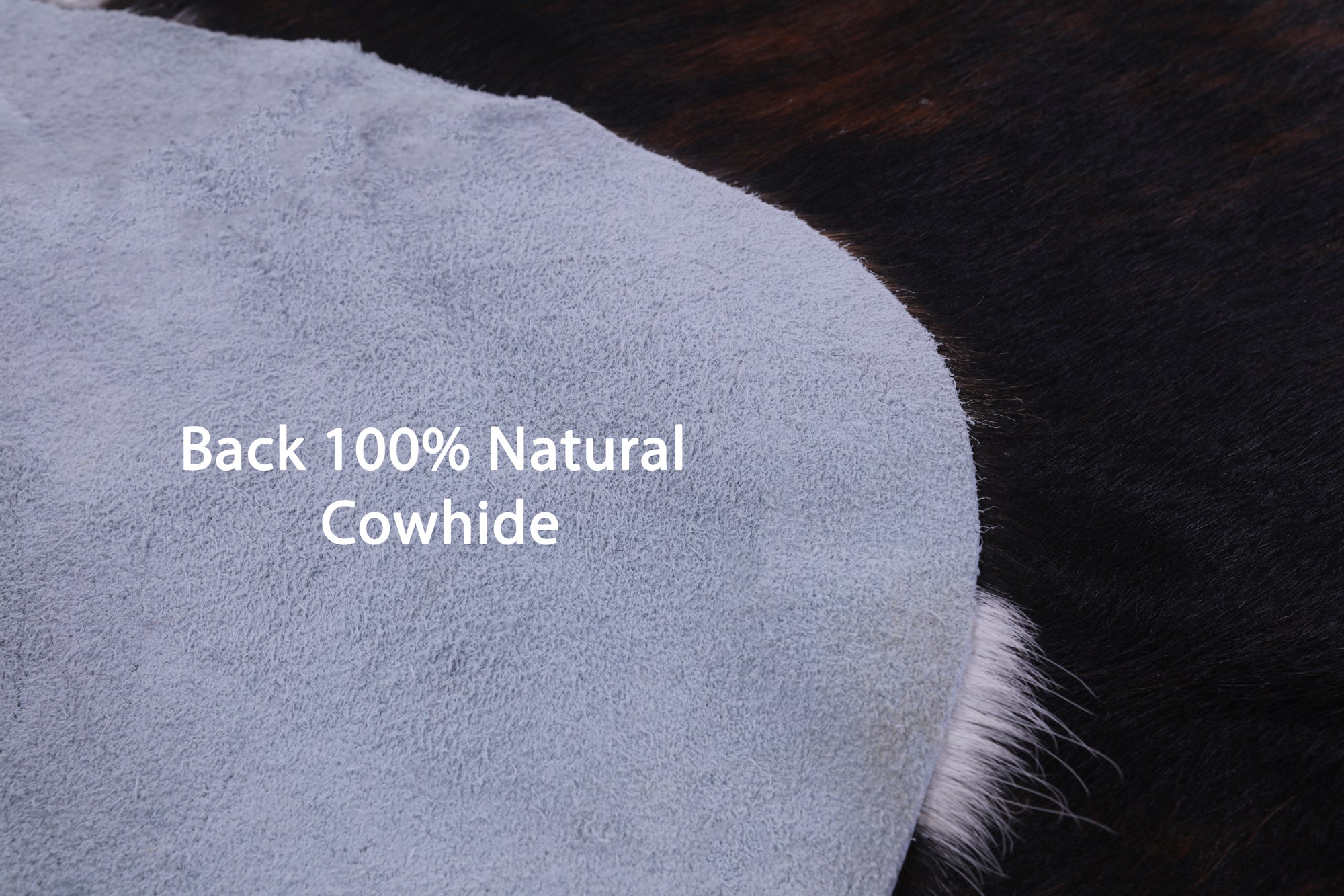 Natural Hair-On Cowhide Rug - 6' 7" X 6' 4" - Golden Nile
