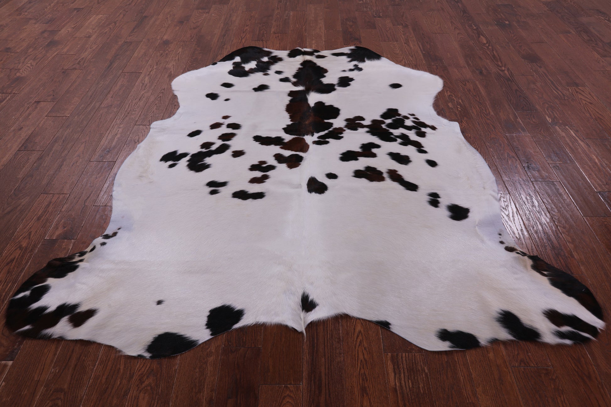 Natural Hair-On Cowhide Rug - 6' 9" X 6' 8" - Golden Nile