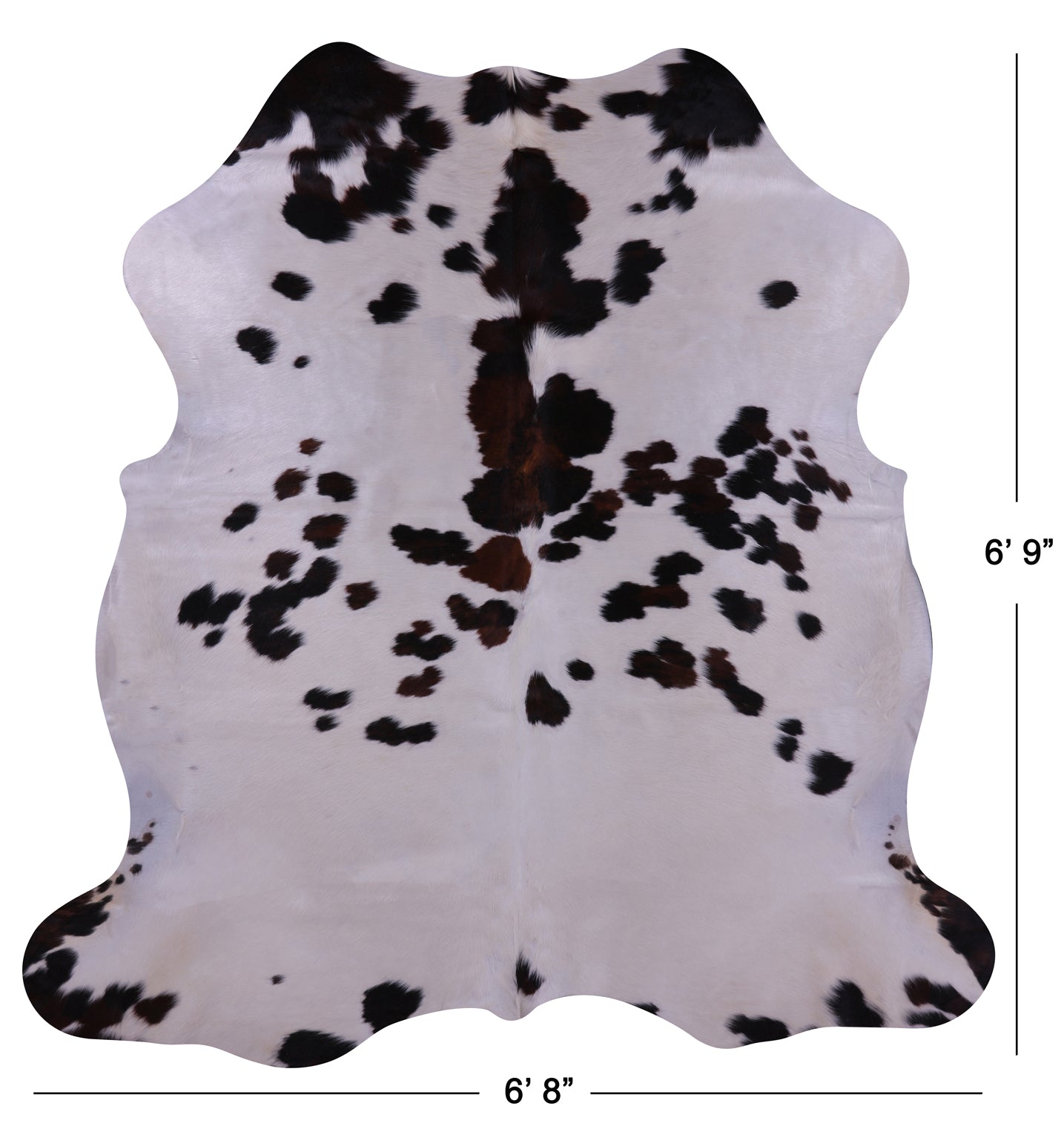 Natural Hair-On Cowhide Rug - 6' 9" X 6' 8" - Golden Nile