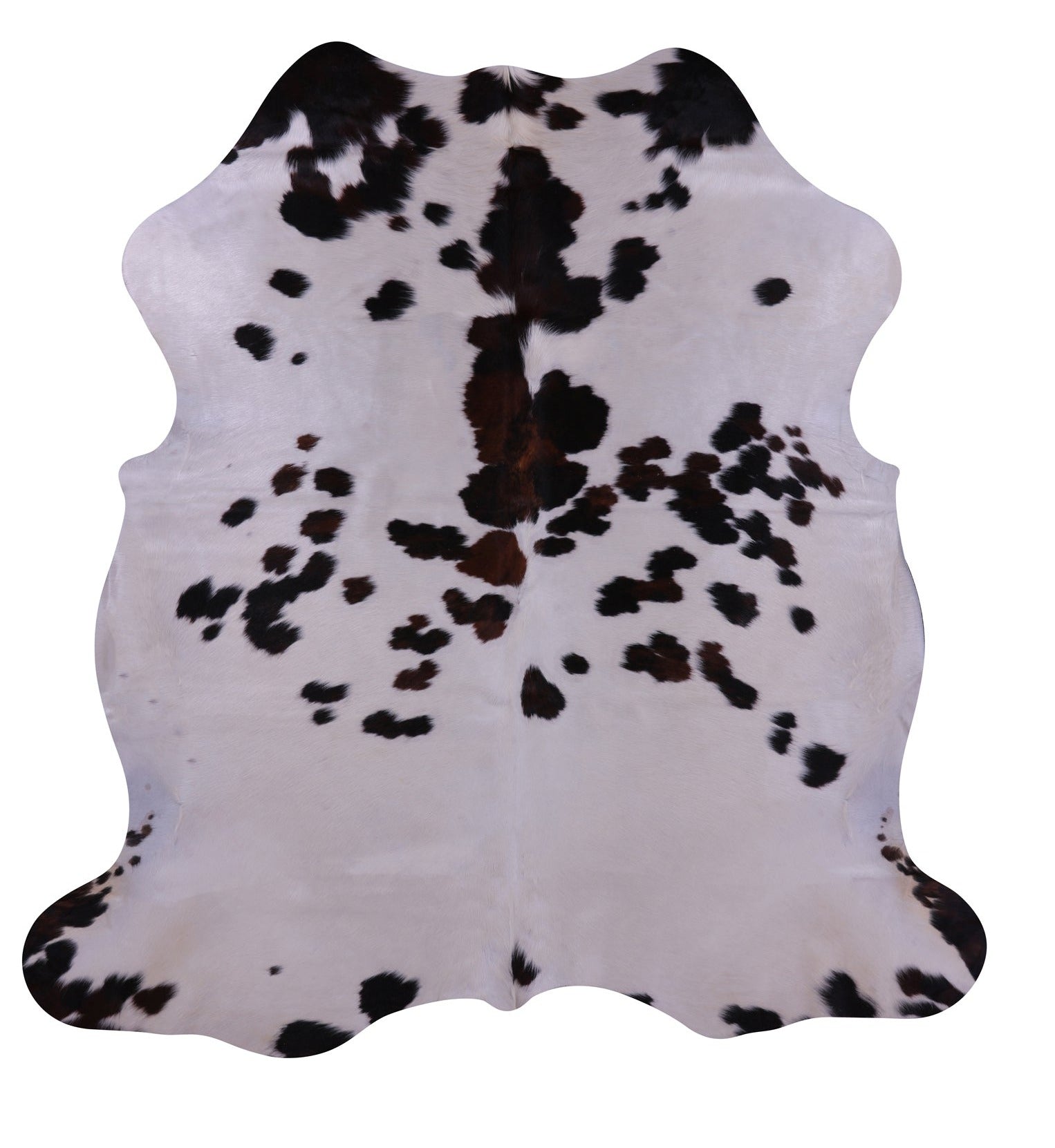 Natural Hair-On Cowhide Rug - 6' 9" X 6' 8" - Golden Nile