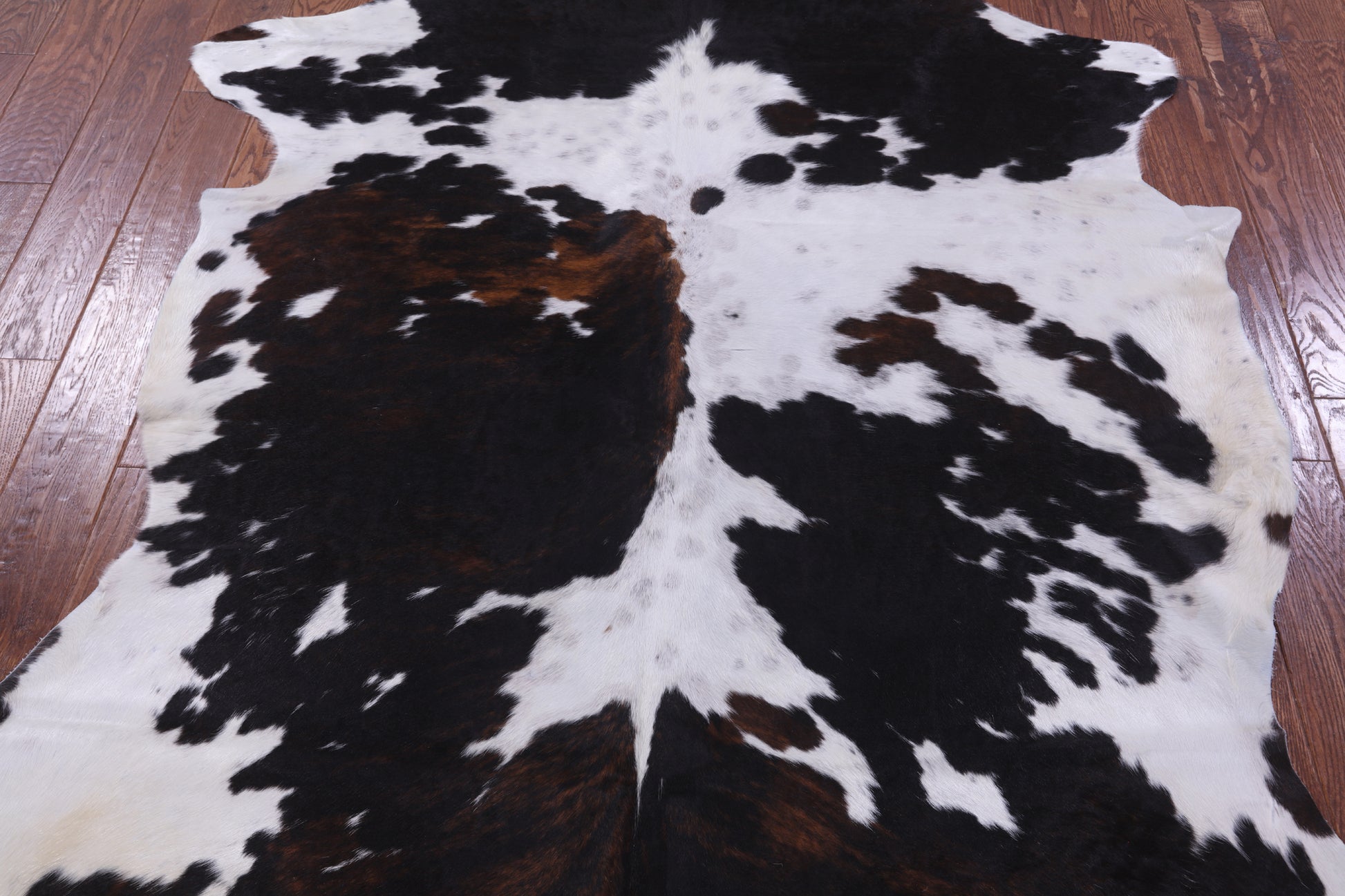 Natural Hair-On Cowhide Rug - 7' 0" X 5' 4" - Golden Nile