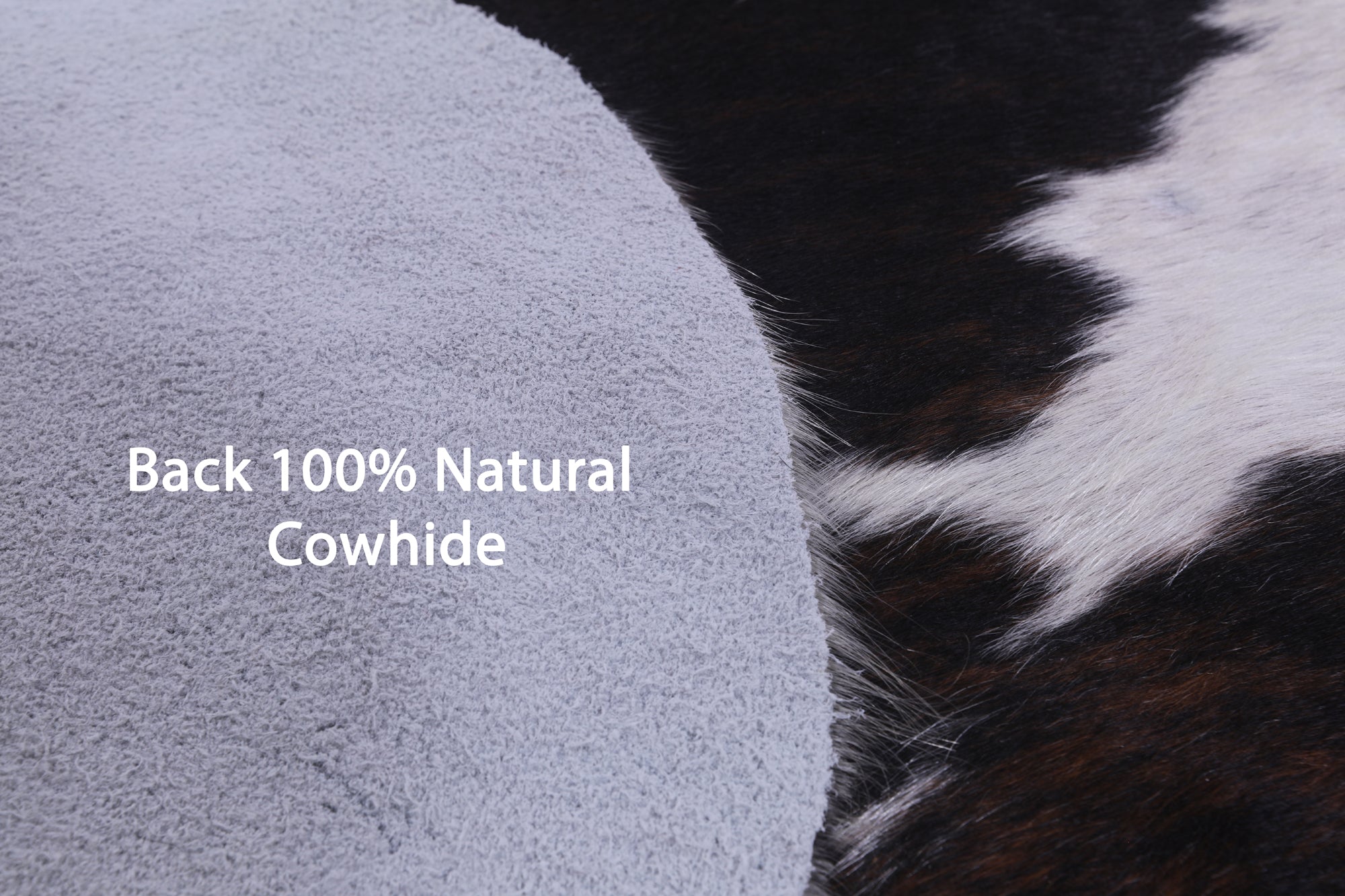 Natural Hair-On Cowhide Rug - 7' 0" X 5' 4" - Golden Nile