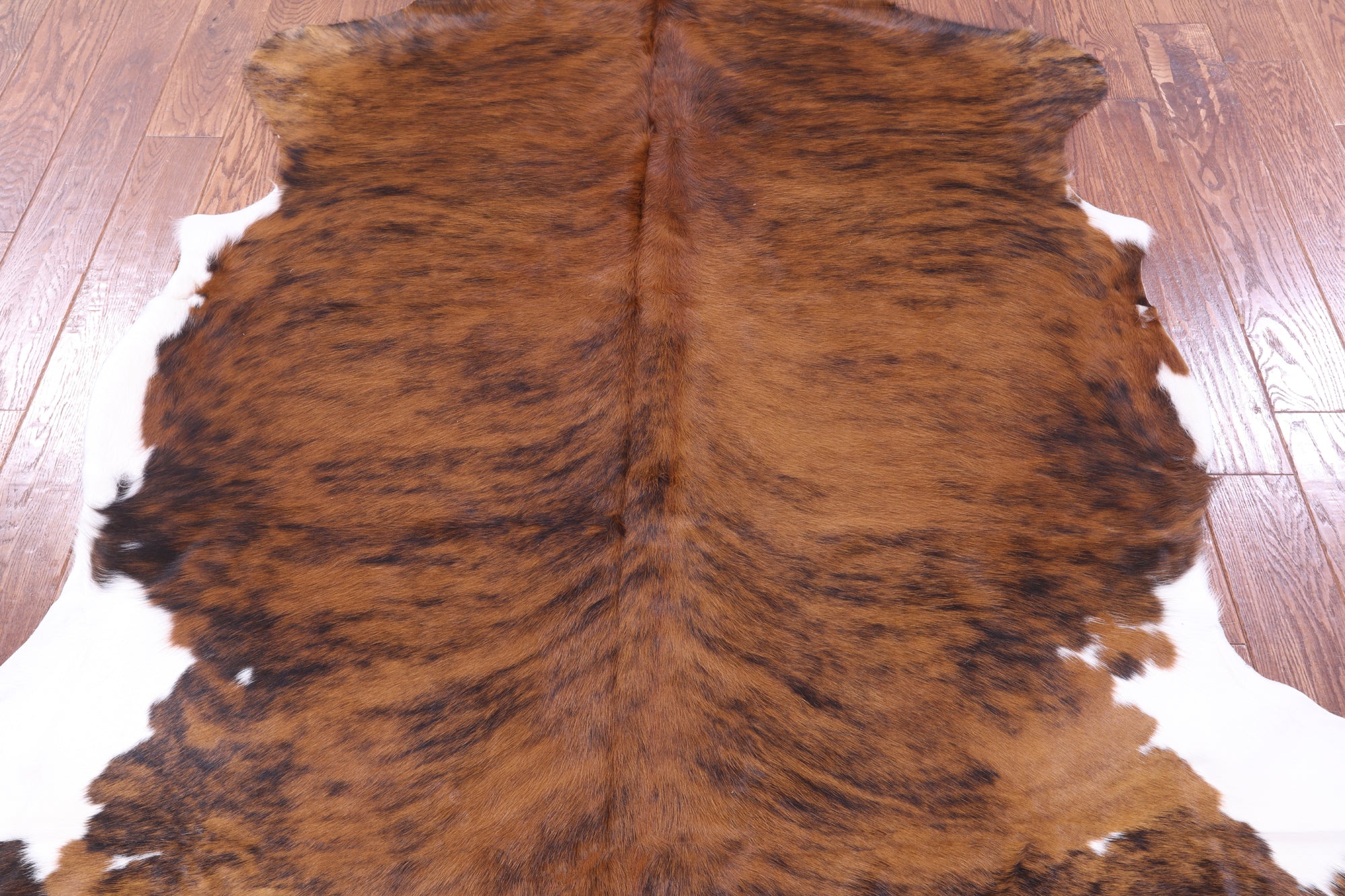 Natural Hair-On Cowhide Rug - 6' 7" X 6' 3" - Golden Nile
