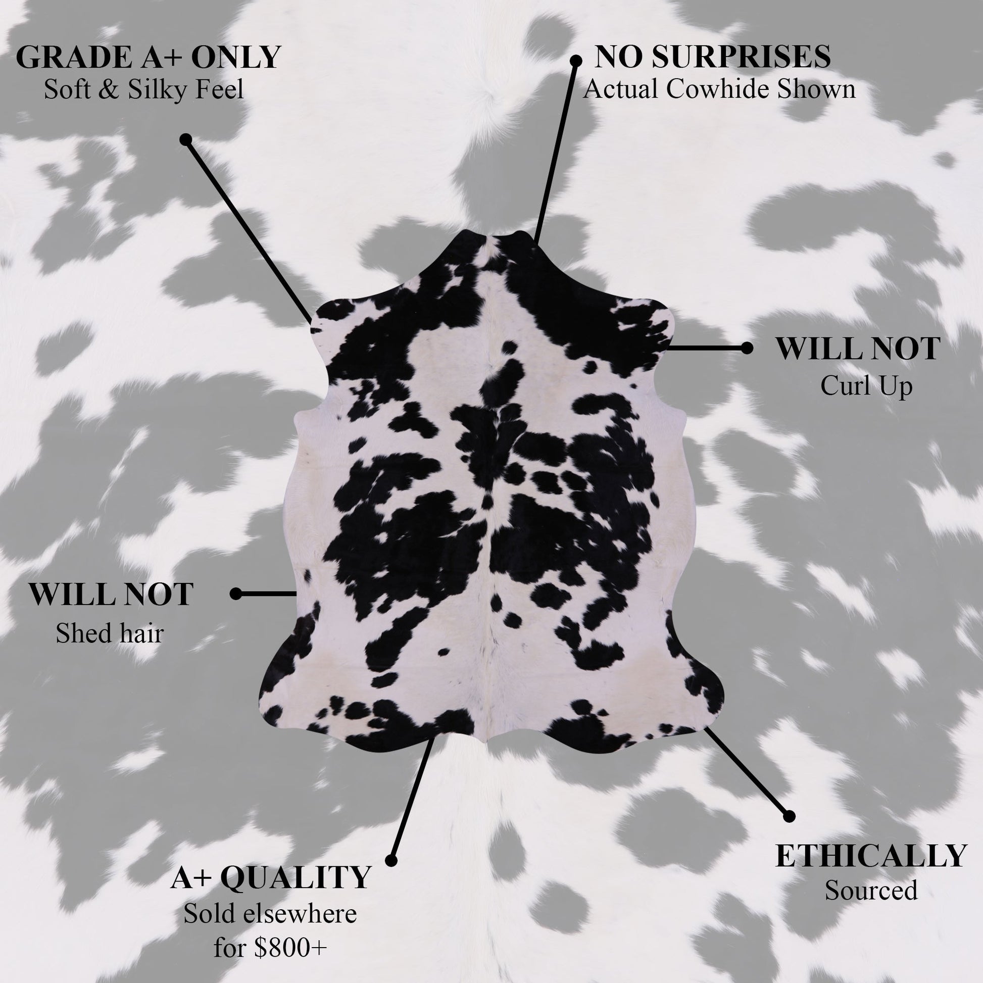 Brown Natural Hair-On Cowhide Rug - 6' 6" X 5' 8" - Golden Nile