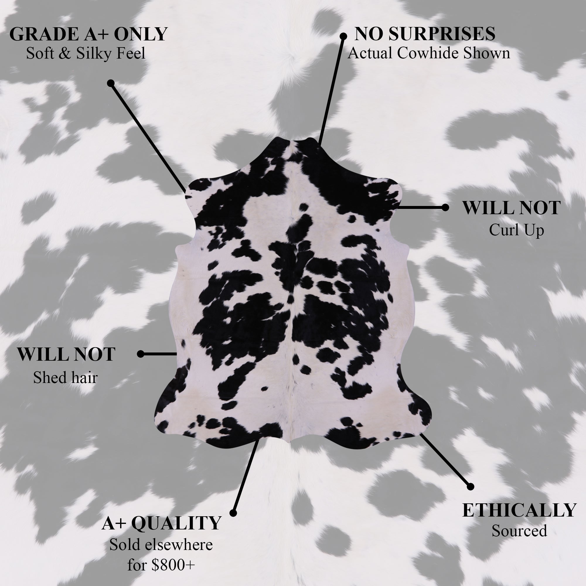 Tricolor Natural Hair-On Cowhide Rug - 6' 4" X 5' 10" - Golden Nile