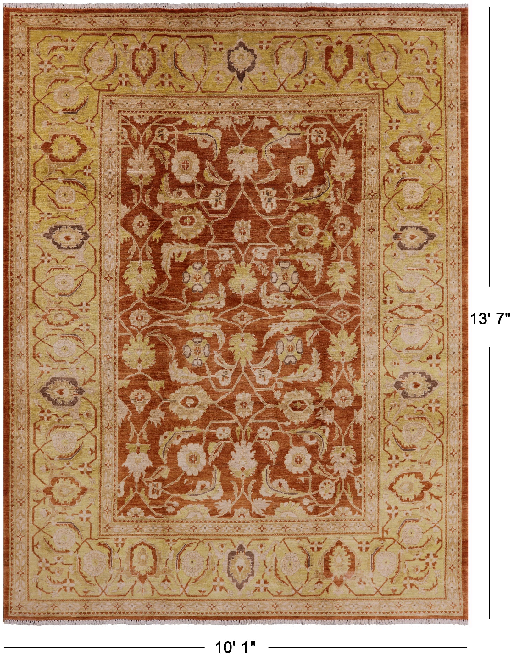 Chobi Peshawar Hand Knotted Rug - 10' 1" X 13' 7" - Golden Nile