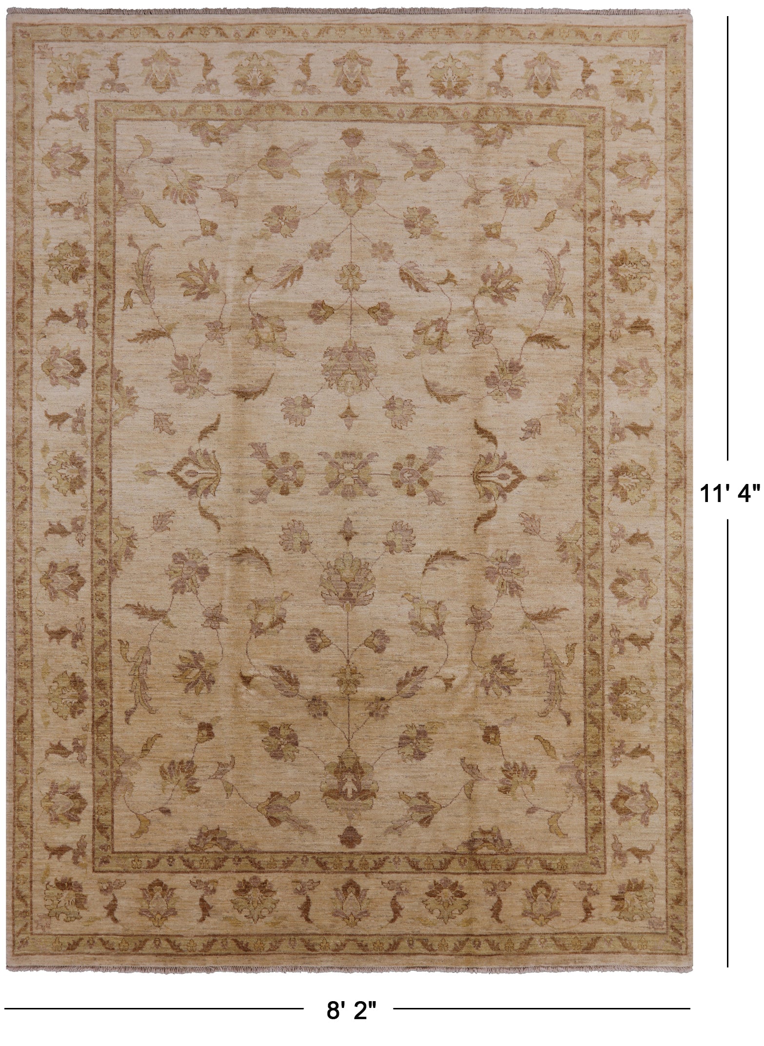 Ivory Peshawar Hand Knotted Rug - 8' 2" X 11' 4" - Golden Nile