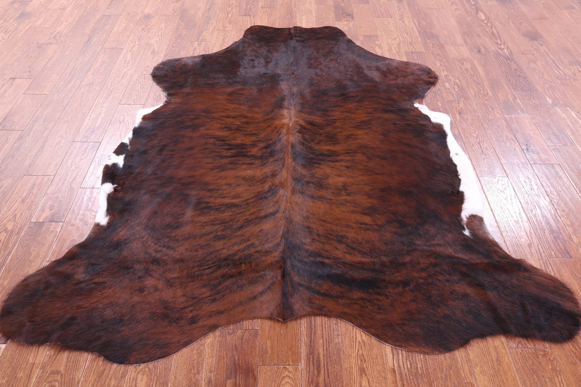Brindle Natural Hair-On Cowhide Rug - 7' 1" X 6' 2" - Golden Nile