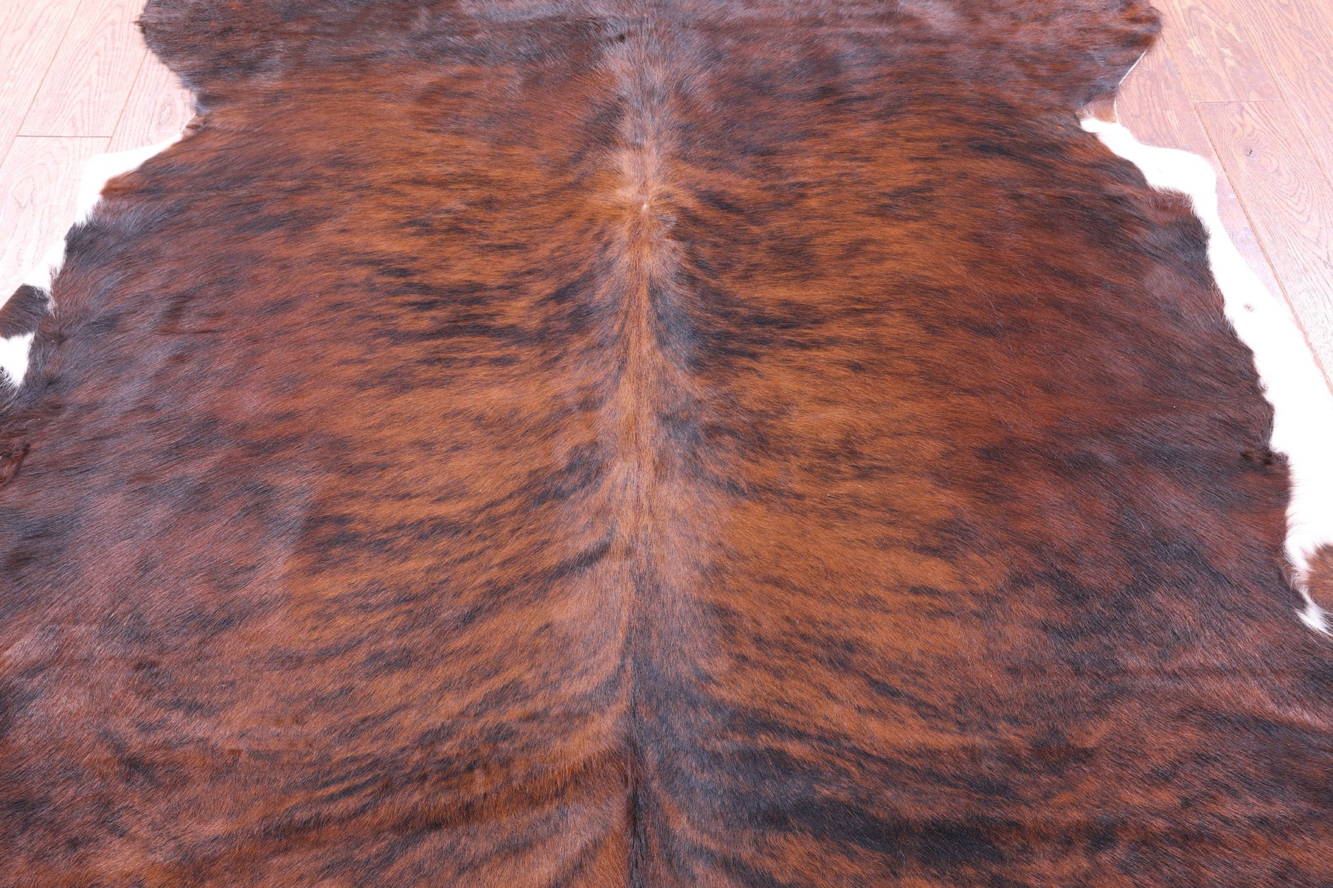 Brindle Natural Hair-On Cowhide Rug - 7' 1" X 6' 2" - Golden Nile