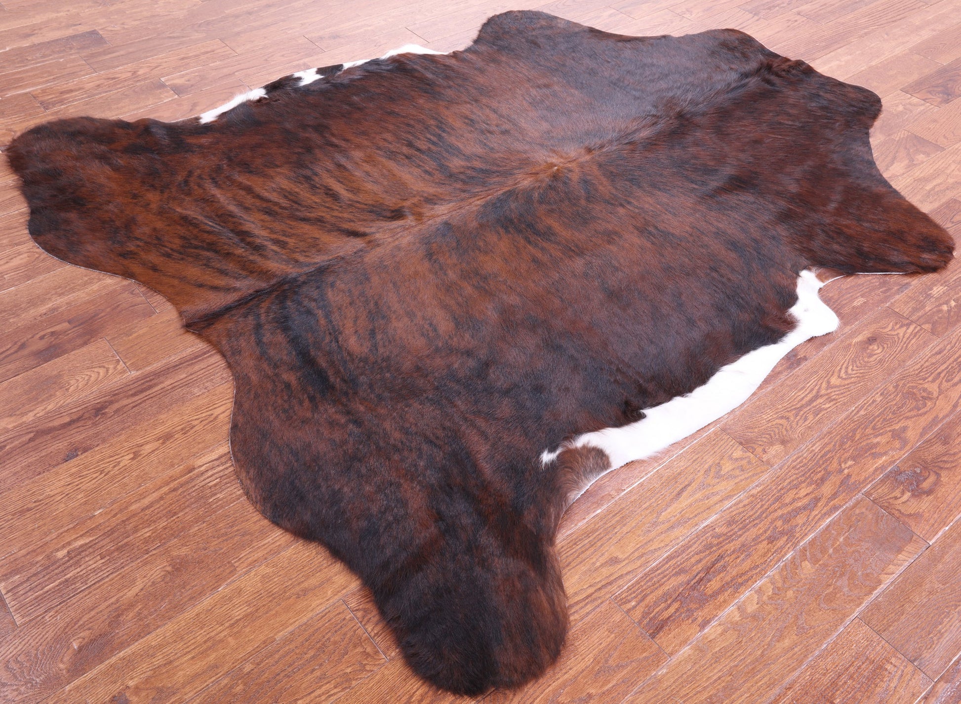 Brindle Natural Hair-On Cowhide Rug - 7' 1" X 6' 2" - Golden Nile