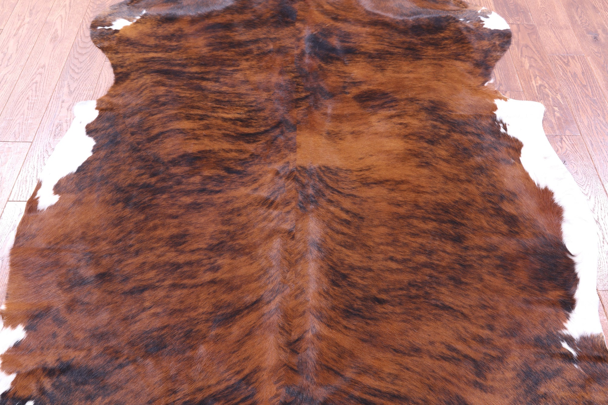 Brindle Natural Hair-On Cowhide Rug - 7' 4" X 6' 1" - Golden Nile