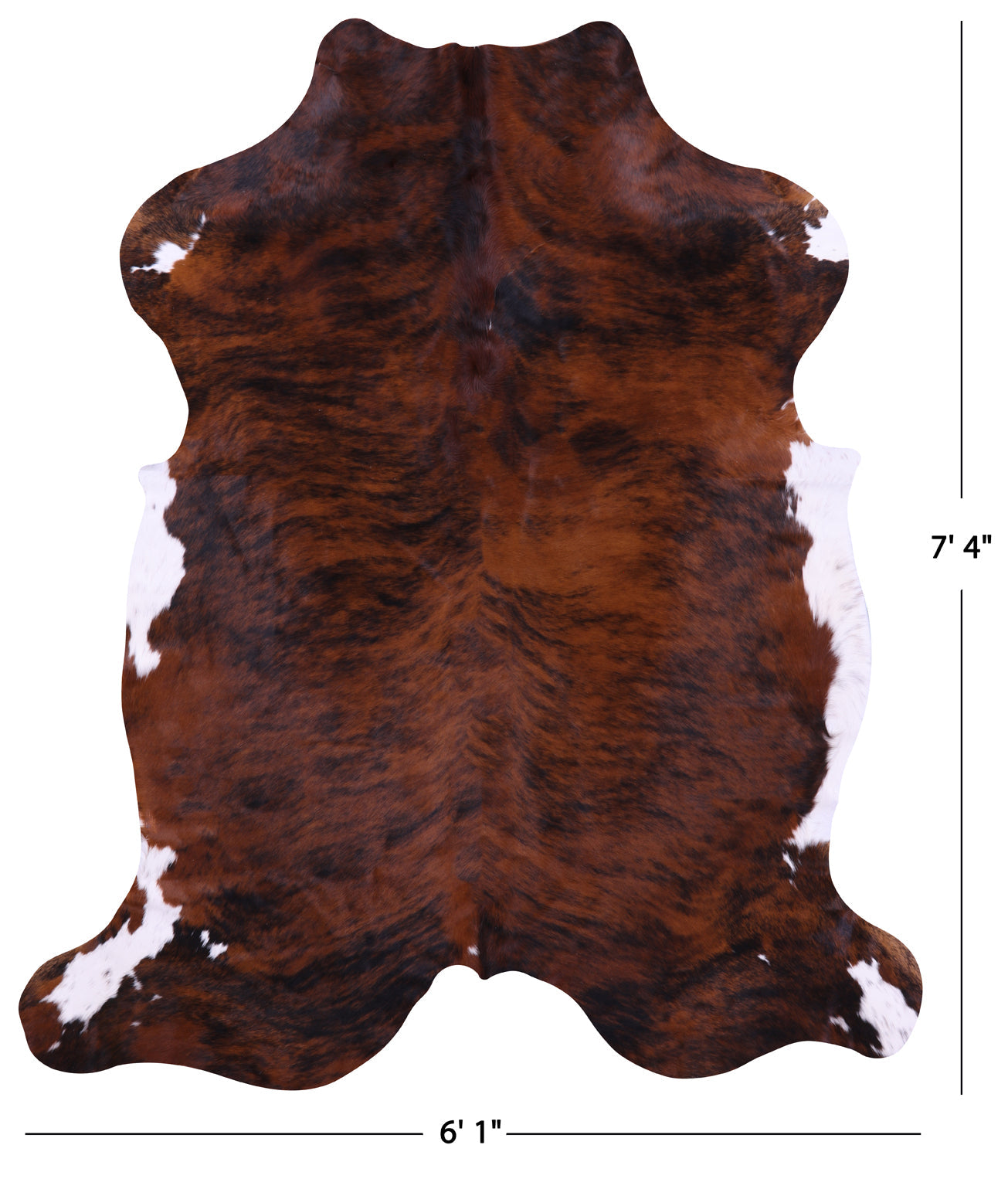Brindle Natural Hair-On Cowhide Rug - 7' 4" X 6' 1" - Golden Nile