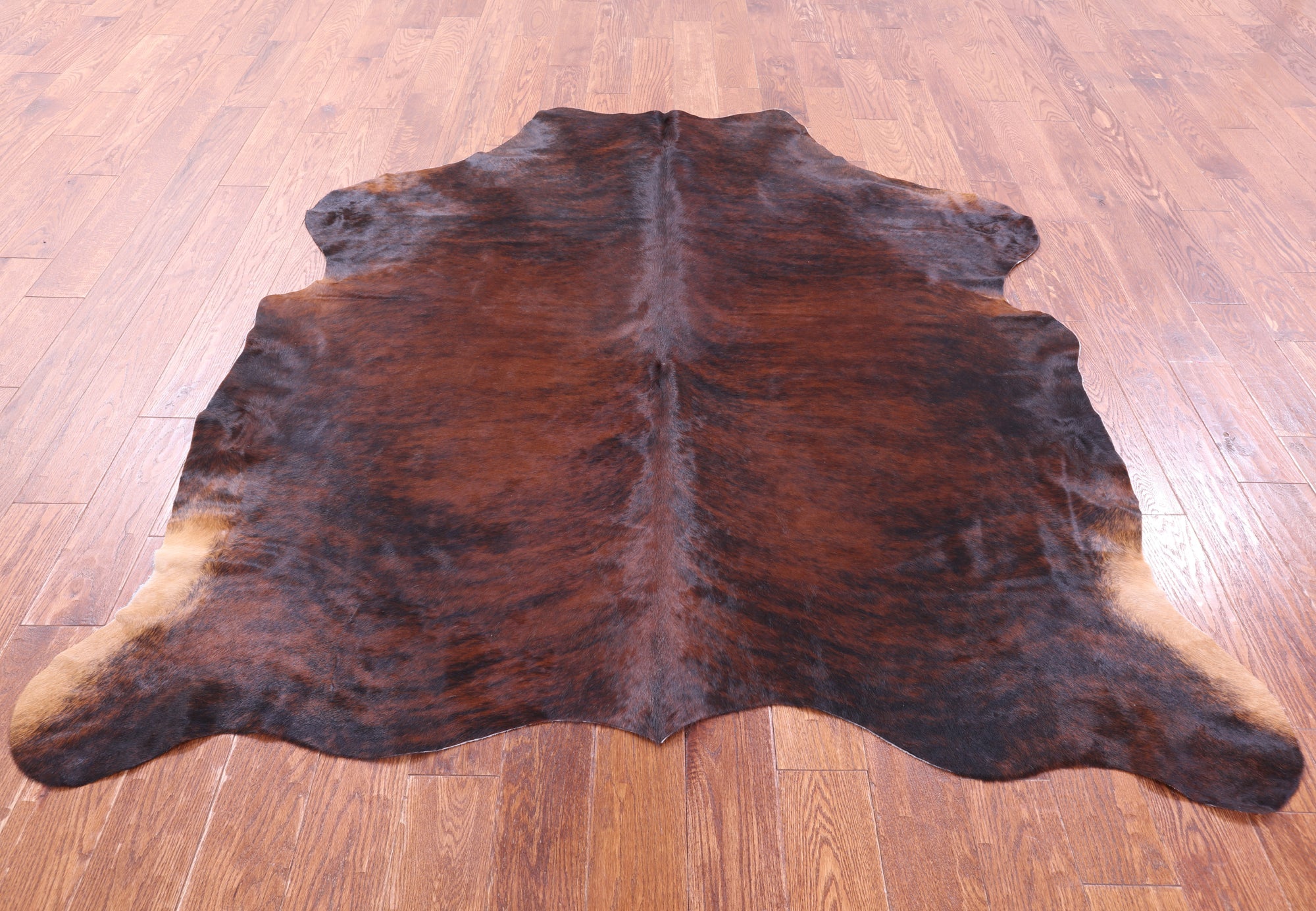 Brindle Natural Hair-On Cowhide Rug - 6' 9" X 6' 1" - Golden Nile