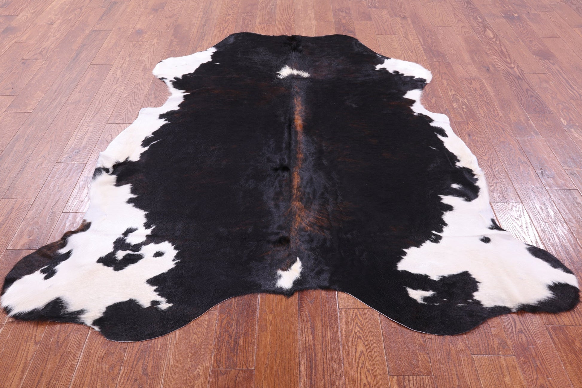 Tricolor Natural Hair-On Cowhide Rug - 6' 9" X 6' 2" - Golden Nile