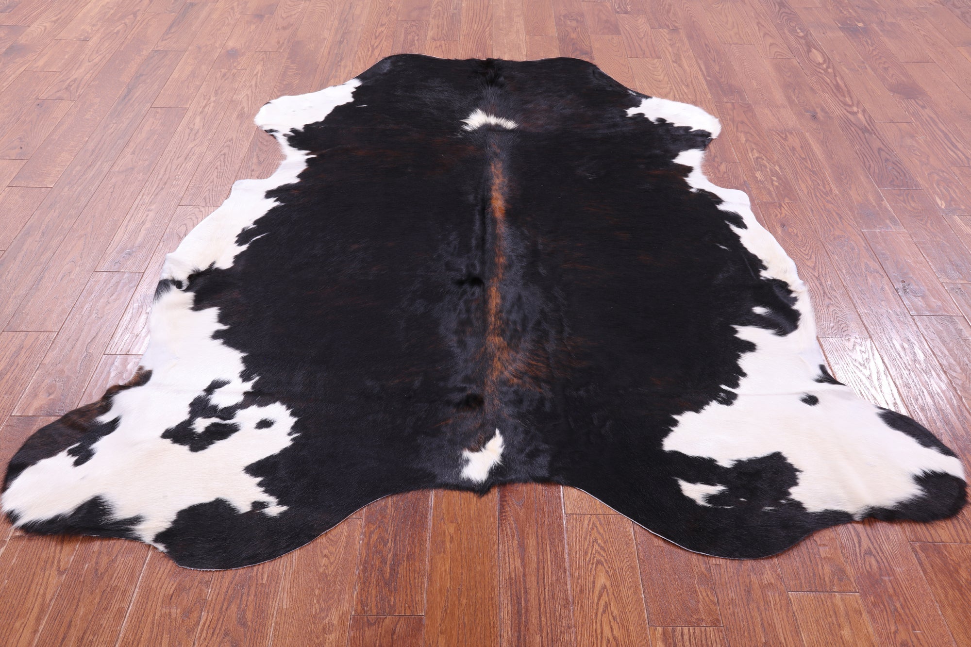 Tricolor Natural Hair-On Cowhide Rug - 6' 9" X 6' 2" - Golden Nile