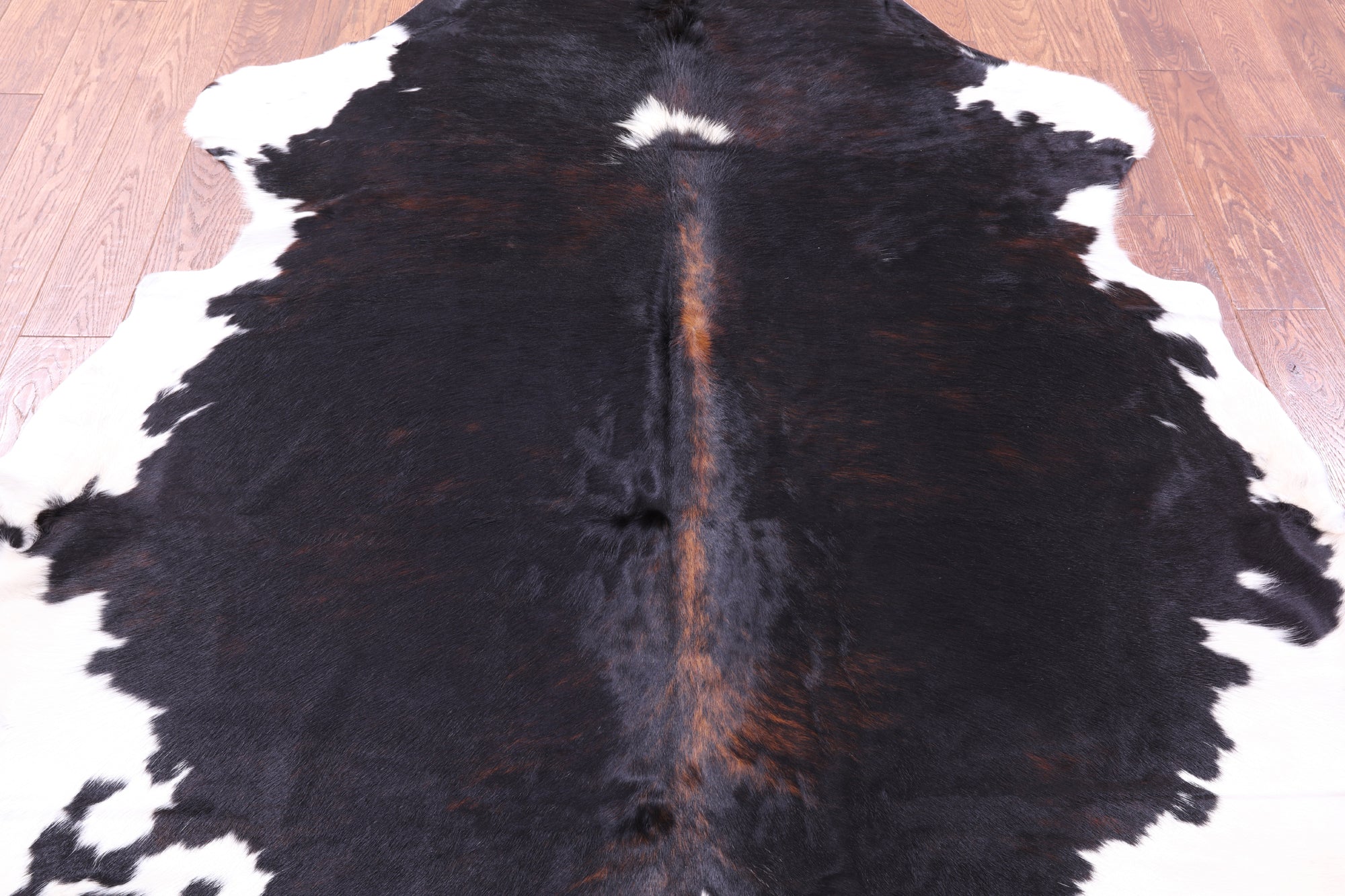 Tricolor Natural Hair-On Cowhide Rug - 6' 9" X 6' 2" - Golden Nile