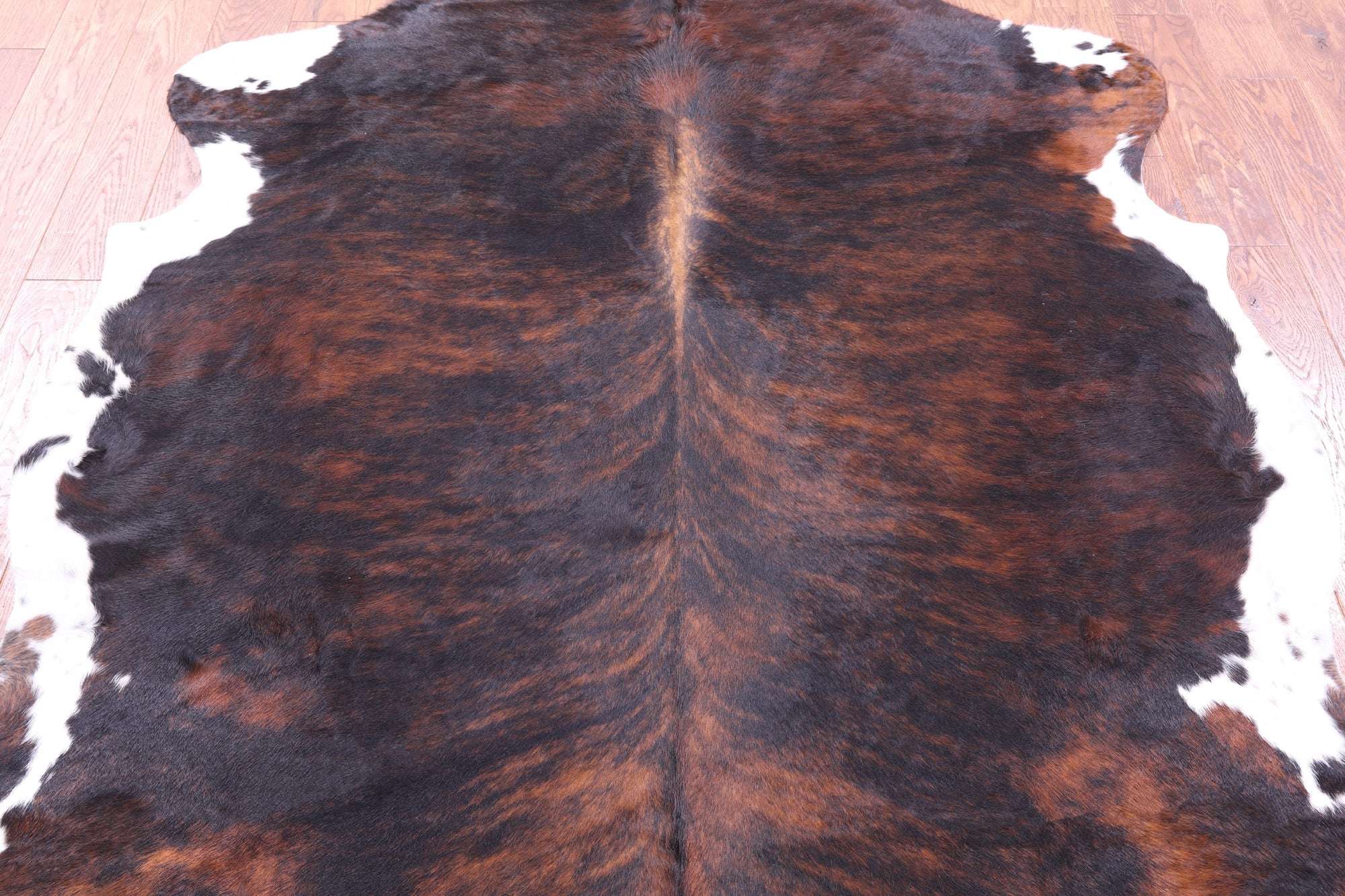 Tricolor Natural Hair-On Cowhide Rug - 6' 9" X 6' 0" - Golden Nile