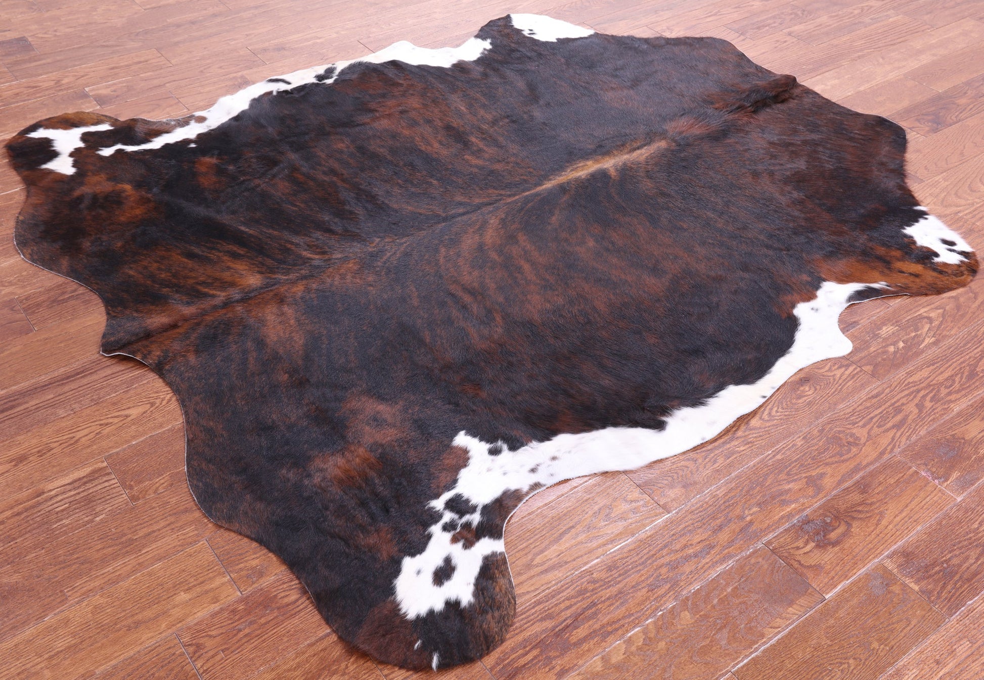 Tricolor Natural Hair-On Cowhide Rug - 6' 9" X 6' 0" - Golden Nile