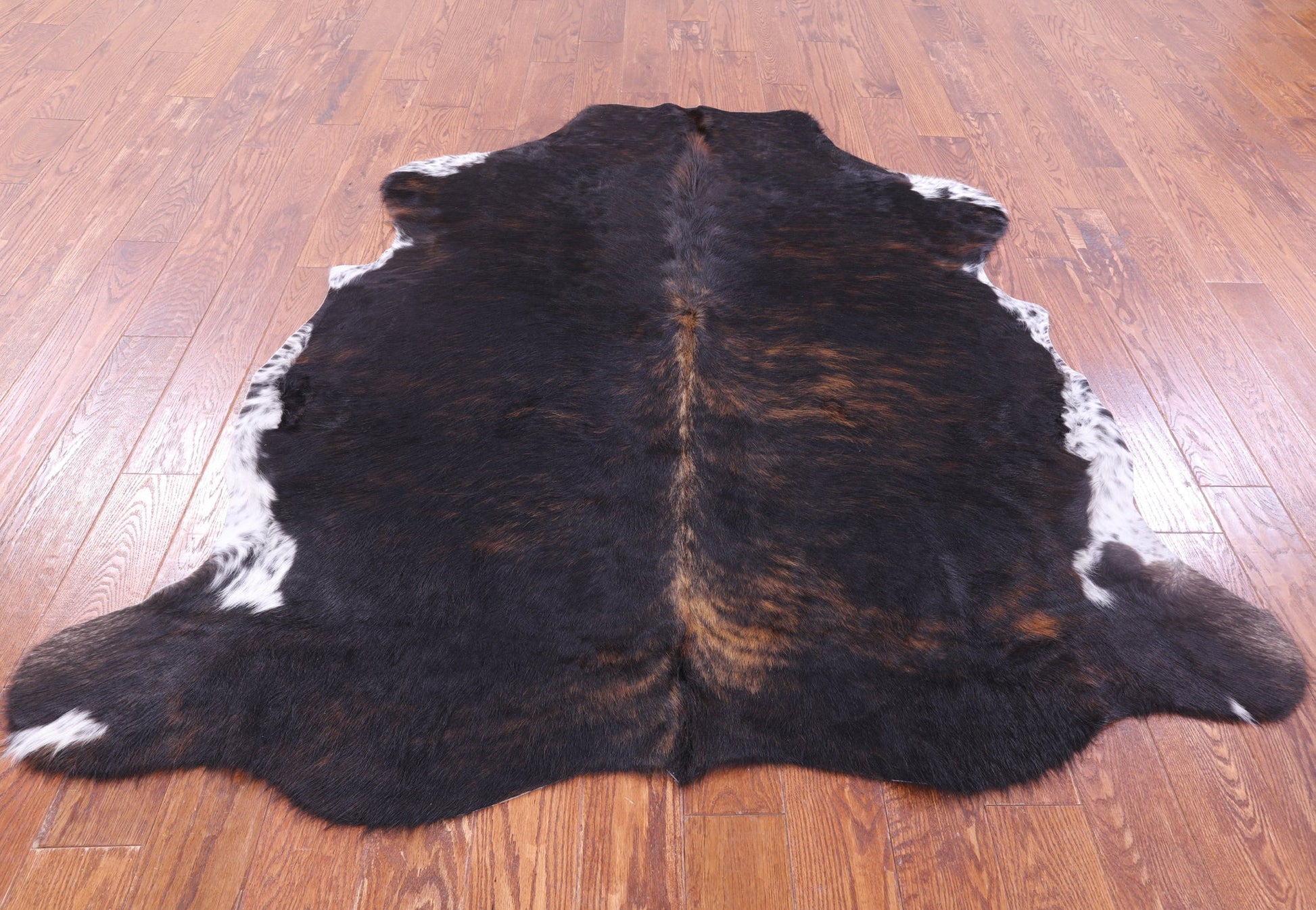 Tricolor Natural Hair-On Cowhide Rug - 6' 4" X 5' 10" - Golden Nile
