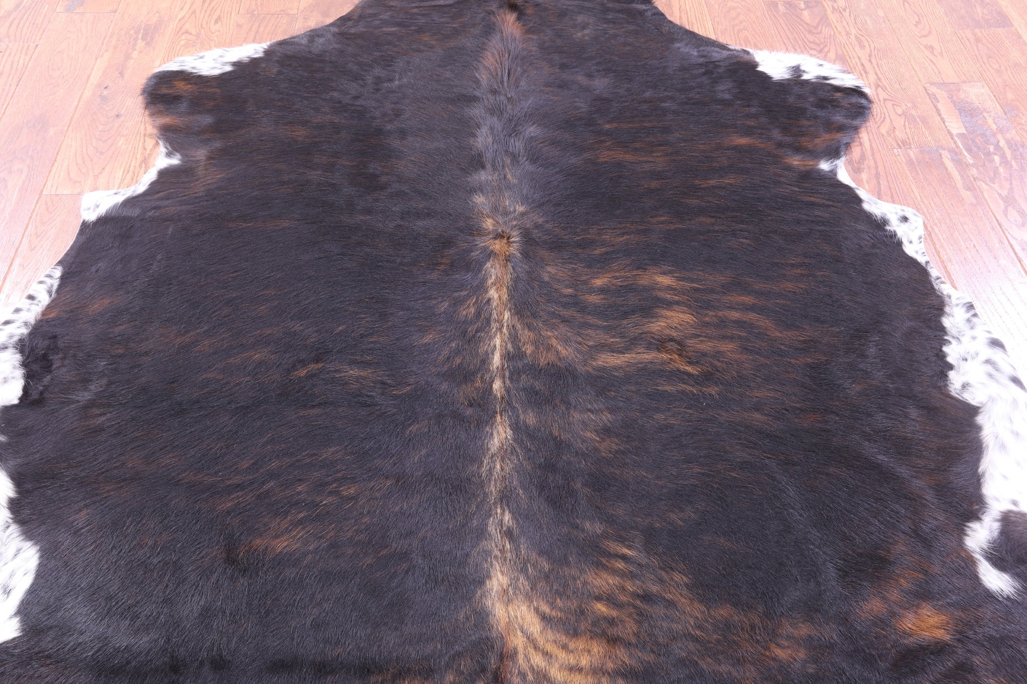 Tricolor Natural Hair-On Cowhide Rug - 6' 4" X 5' 10" - Golden Nile