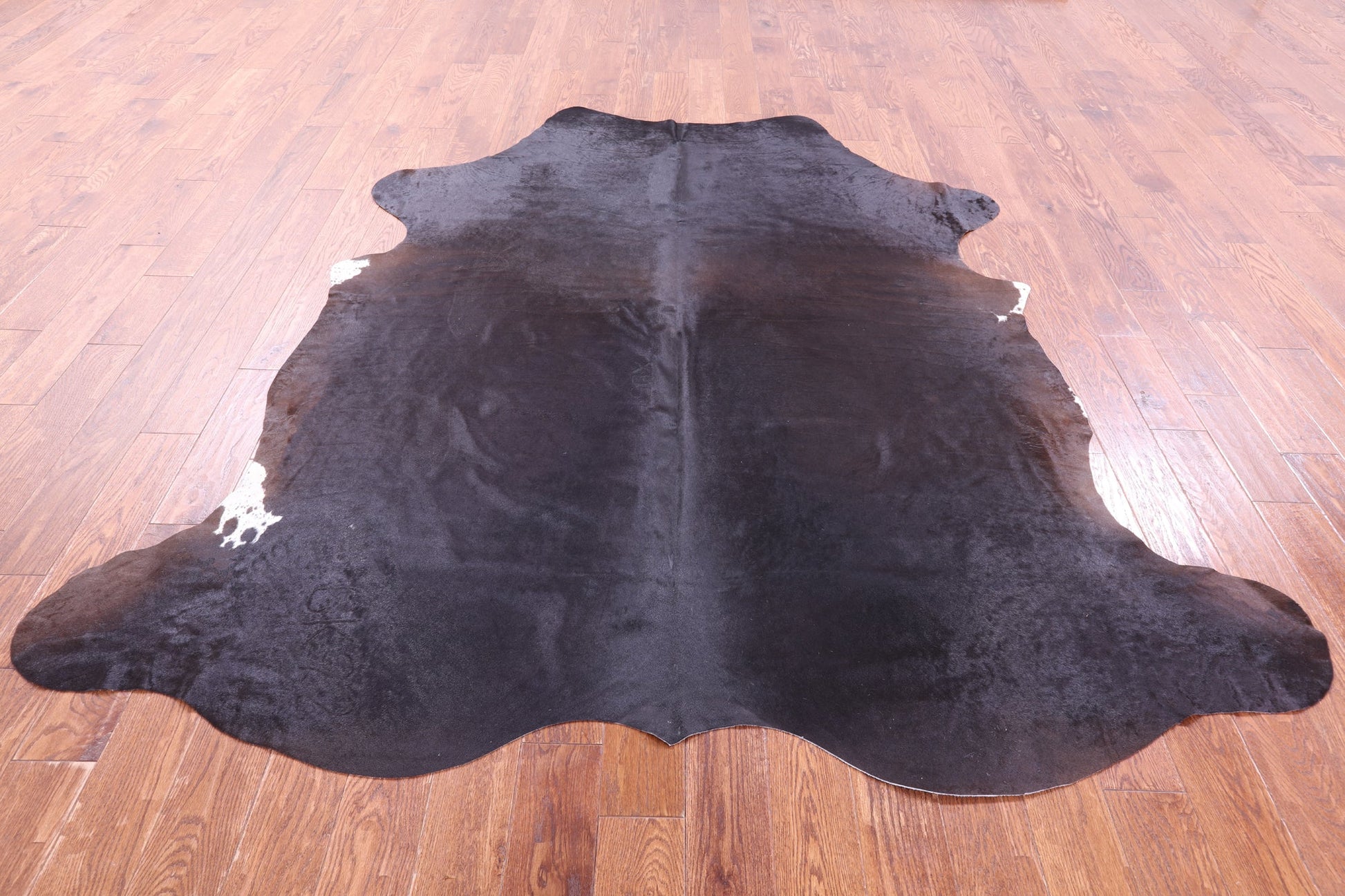 Brown Natural Hair-On Cowhide Rug - 7' 11" X 7' 4" - Golden Nile