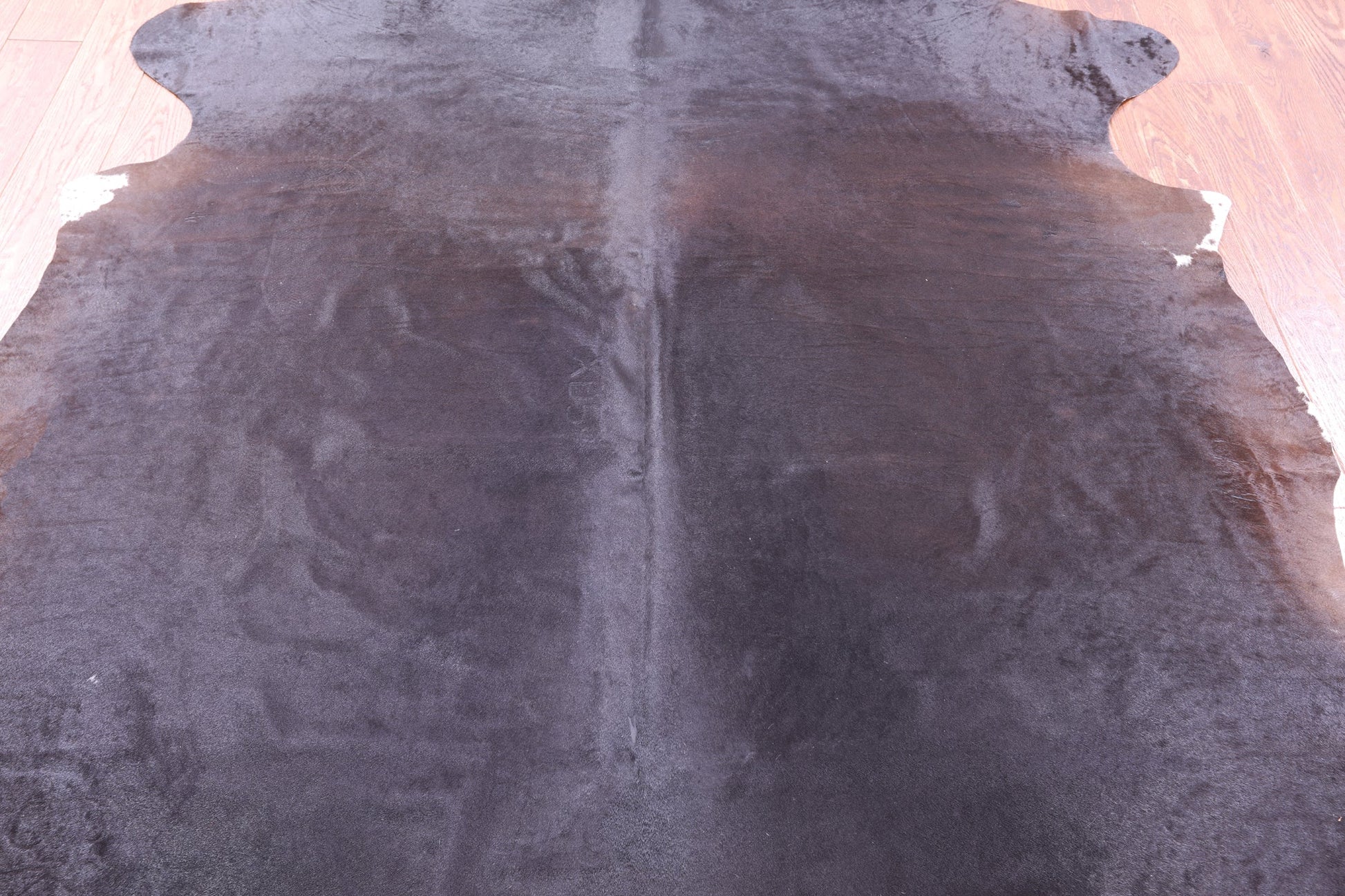 Brown Natural Hair-On Cowhide Rug - 7' 11" X 7' 4" - Golden Nile
