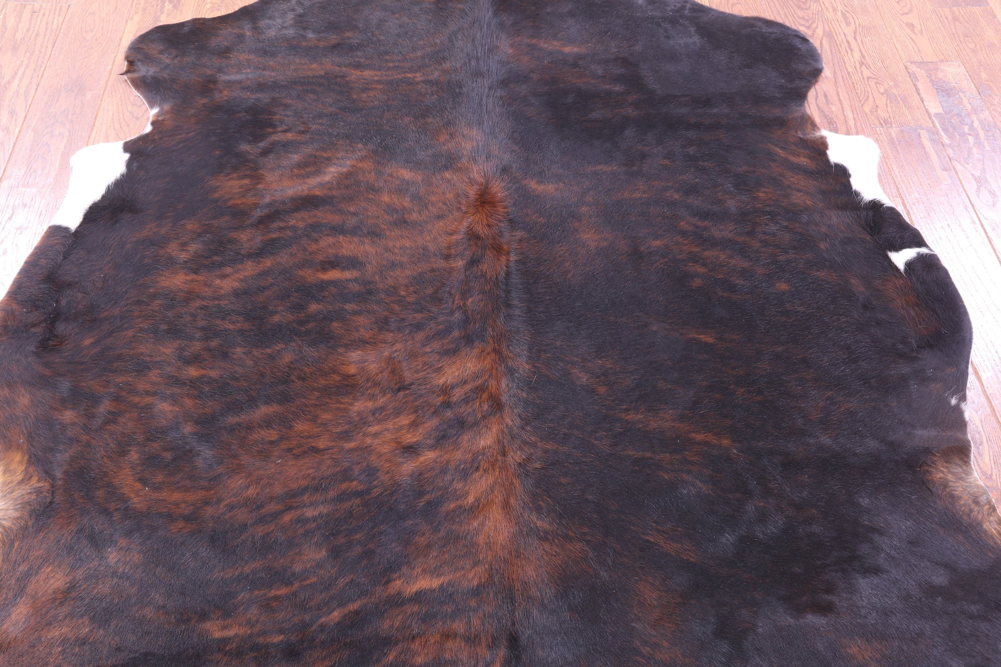 Tricolor Natural Hair-On Cowhide Rug - 6' 7" X 5' 8" - Golden Nile