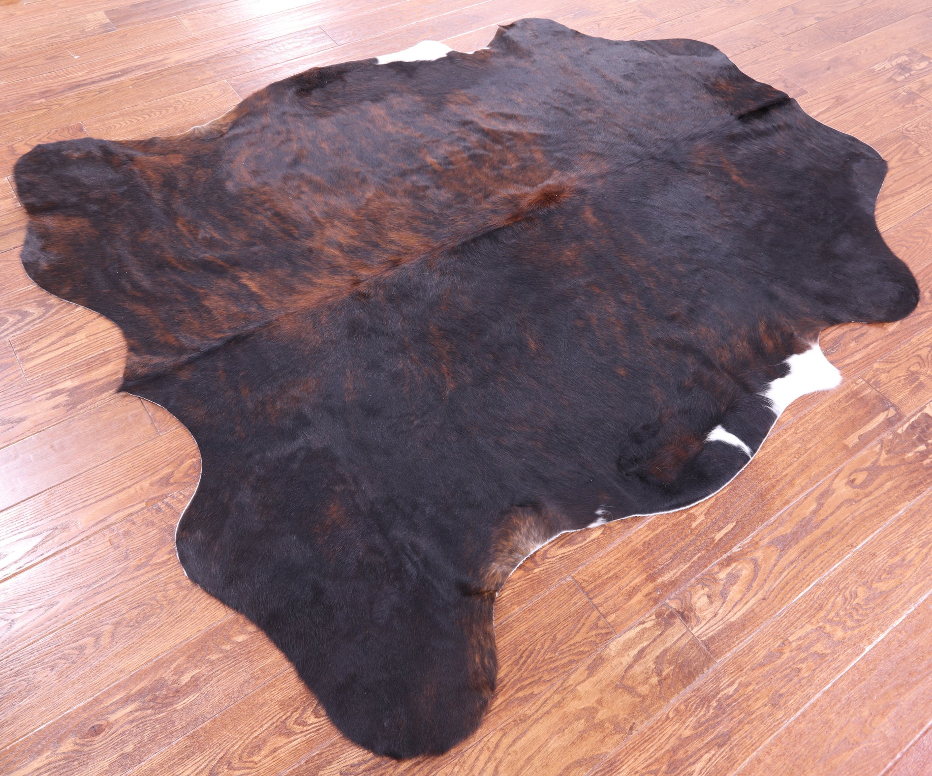 Tricolor Natural Hair-On Cowhide Rug - 6' 7" X 5' 8" - Golden Nile
