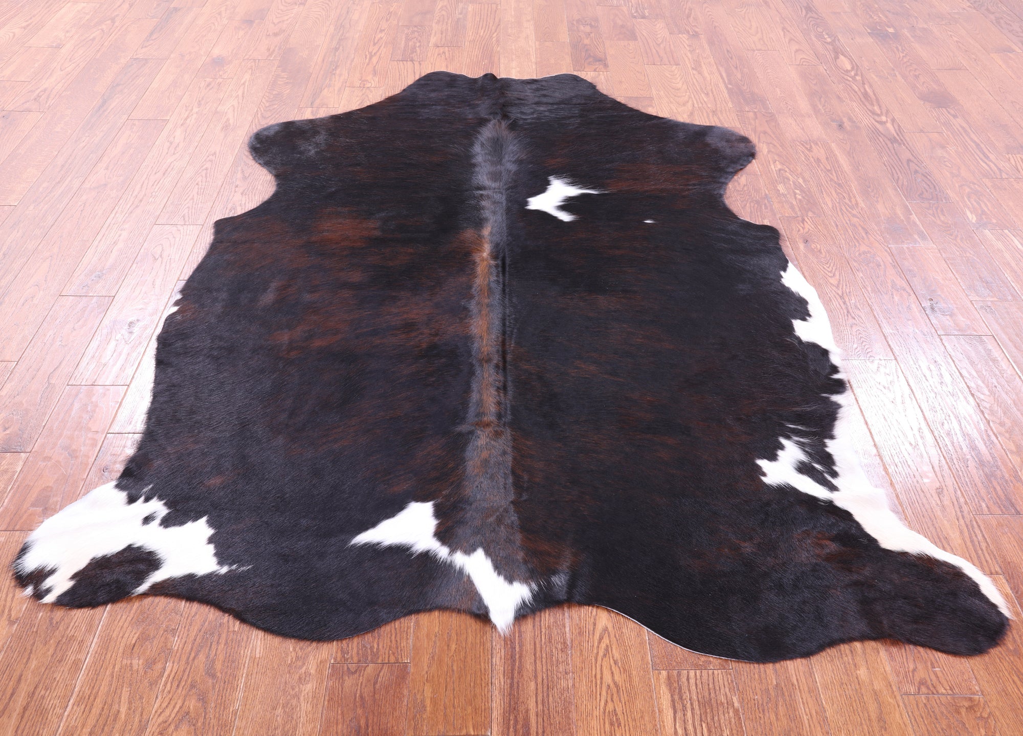 Tricolor Natural Hair-On Cowhide Rug - 6' 9" X 5' 6" - Golden Nile