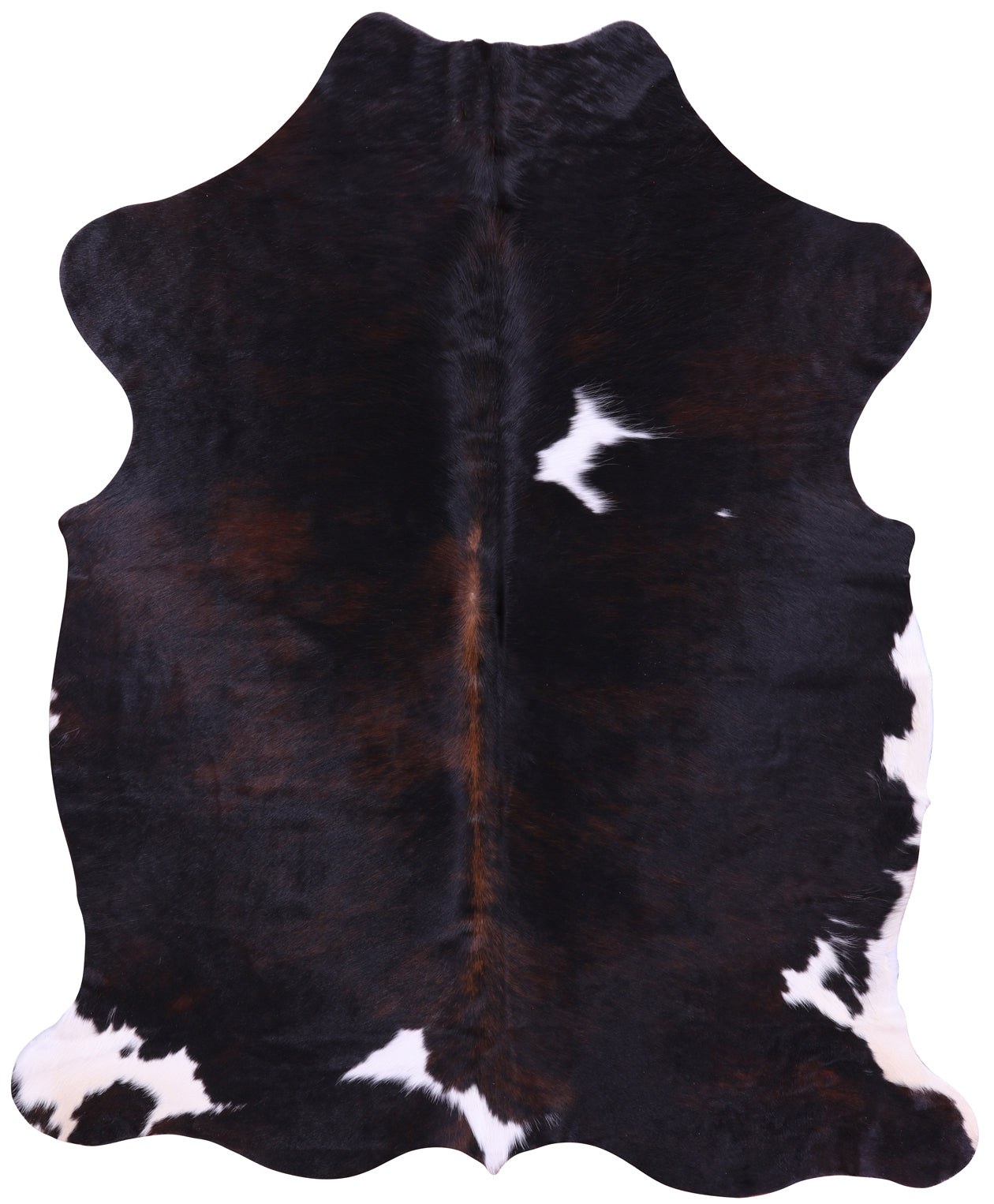 Tricolor Natural Hair-On Cowhide Rug - 6' 9" X 5' 6" - Golden Nile