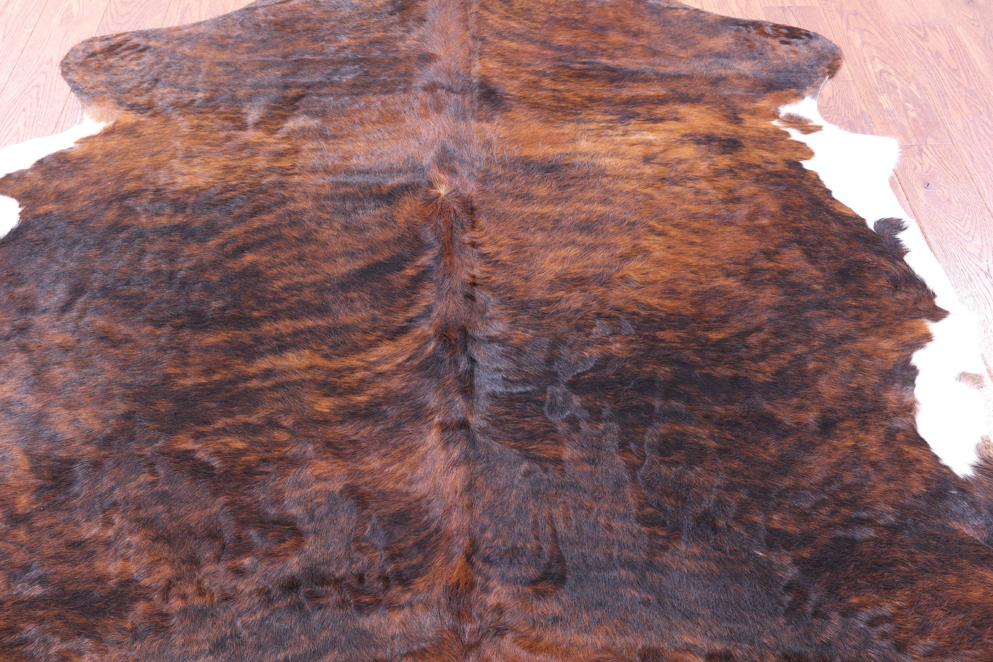 Brindle Natural Hair-On Cowhide Rug - 6' 10" X 6' 0" - Golden Nile