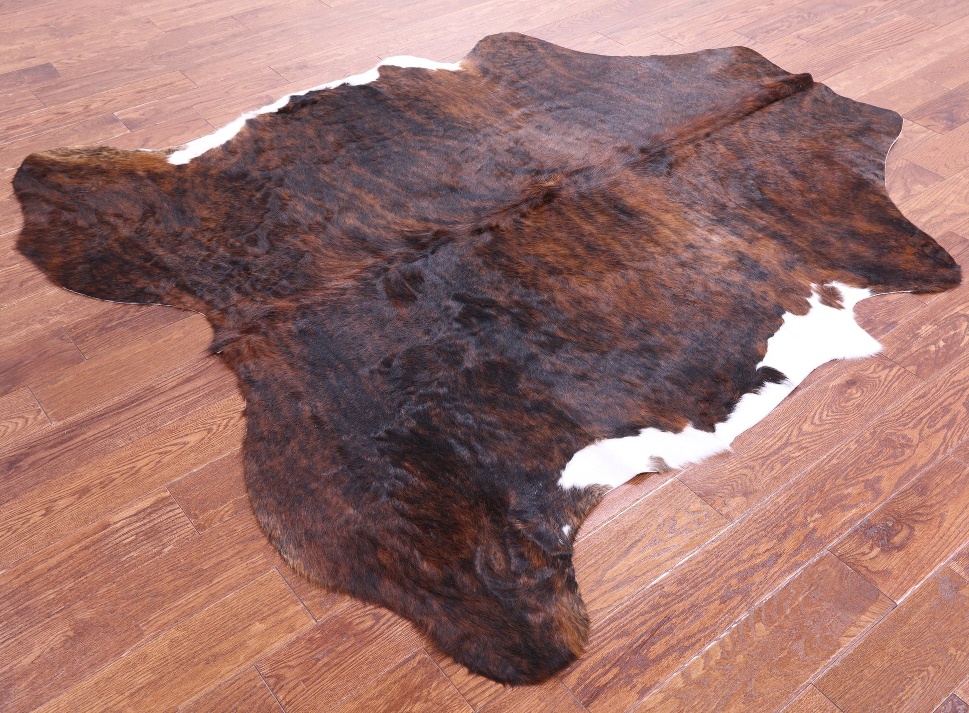 Brindle Natural Hair-On Cowhide Rug - 6' 10" X 6' 0" - Golden Nile