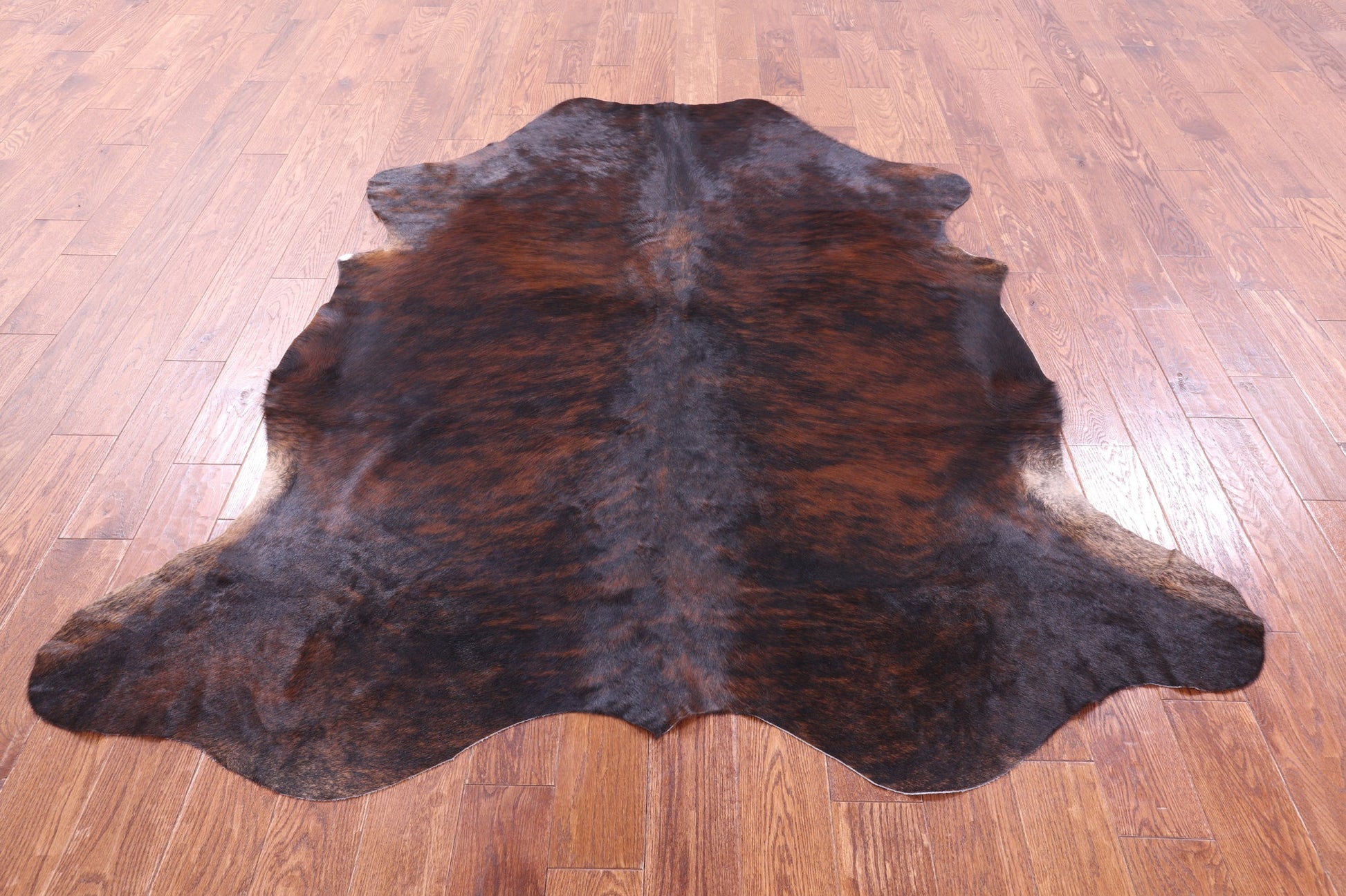 Brindle Natural Hair-On Cowhide Rug - 6' 10" X 6' 2" - Golden Nile